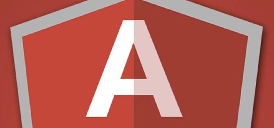 Angular js development