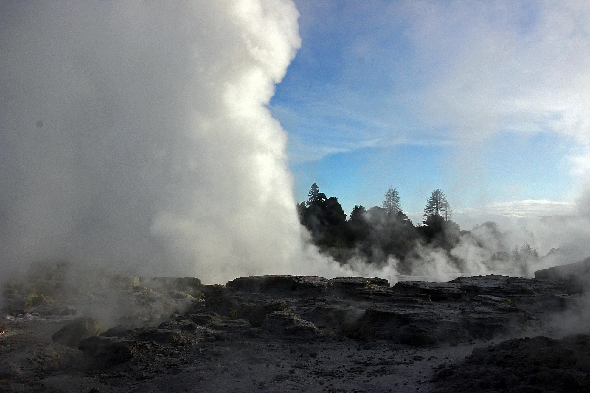 geyser at whakarewarewa