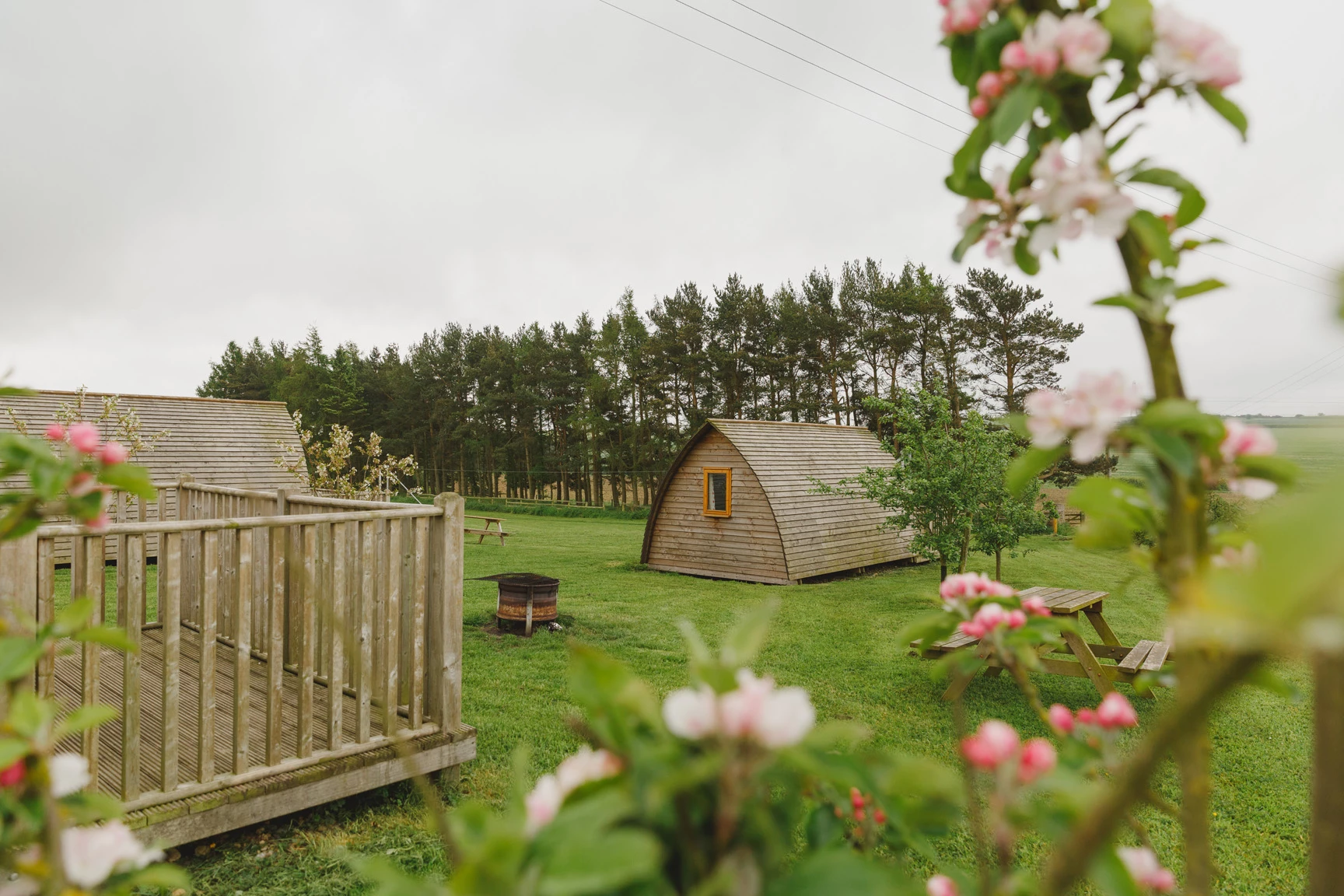 The existing glamping site where the tiny cottages will be built