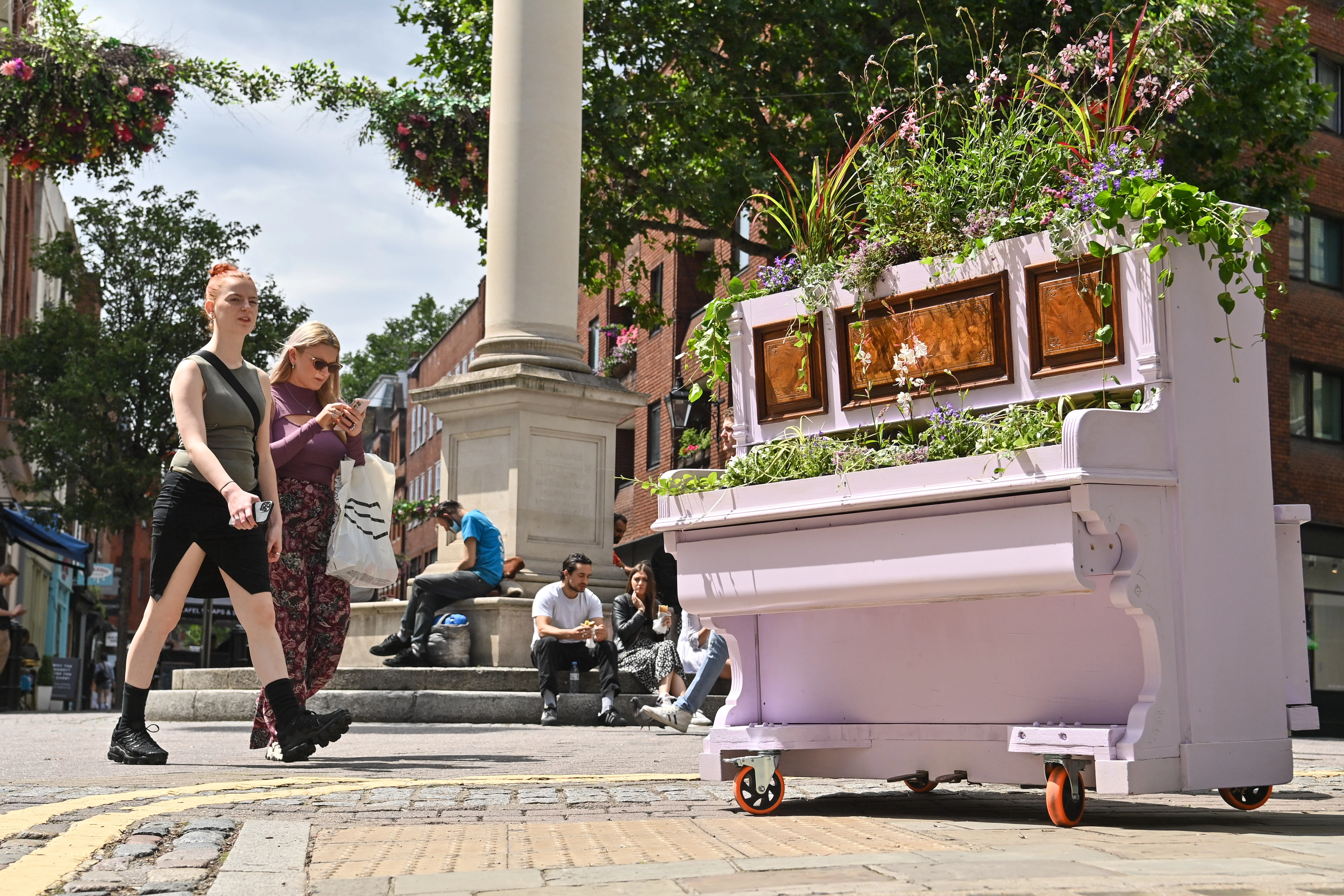 Seven Dials - Urban Growth