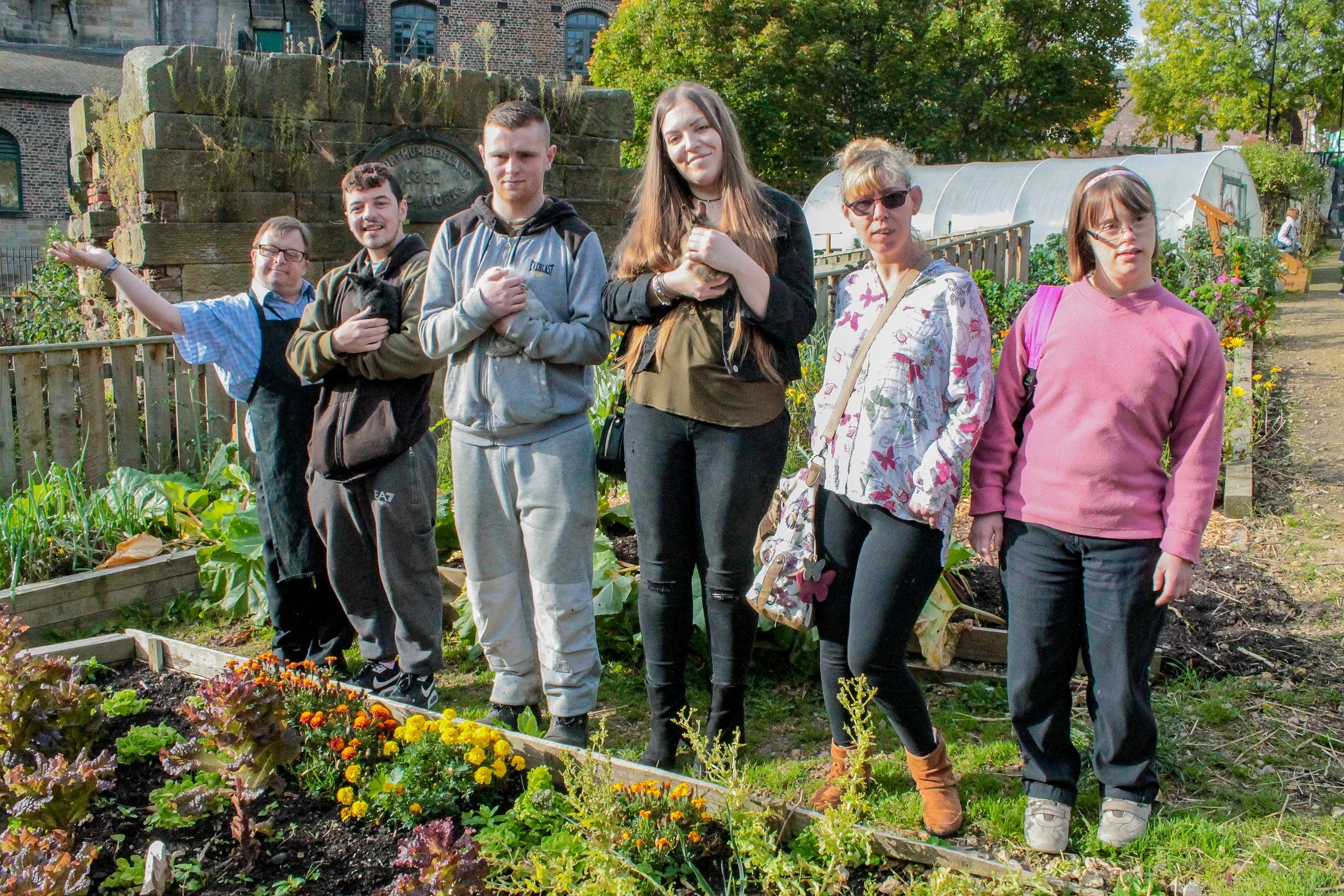 Sainsbury's Charity Partner