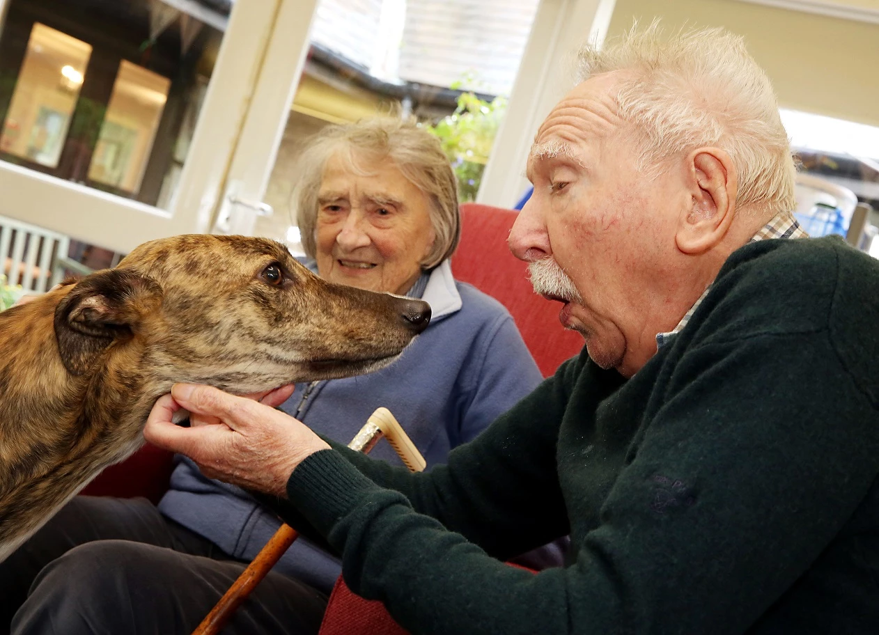 Brother and sister Maureen McLellan, 94, and Ian McLellan, 92, with rescue greyhound Flash at Abbeyfield House Care Home, Alnwick, Northumberland