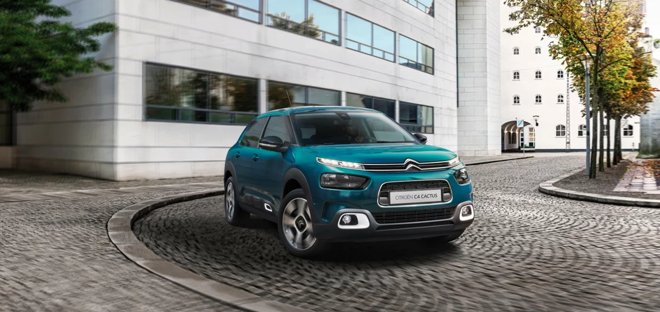 C4 Cactus