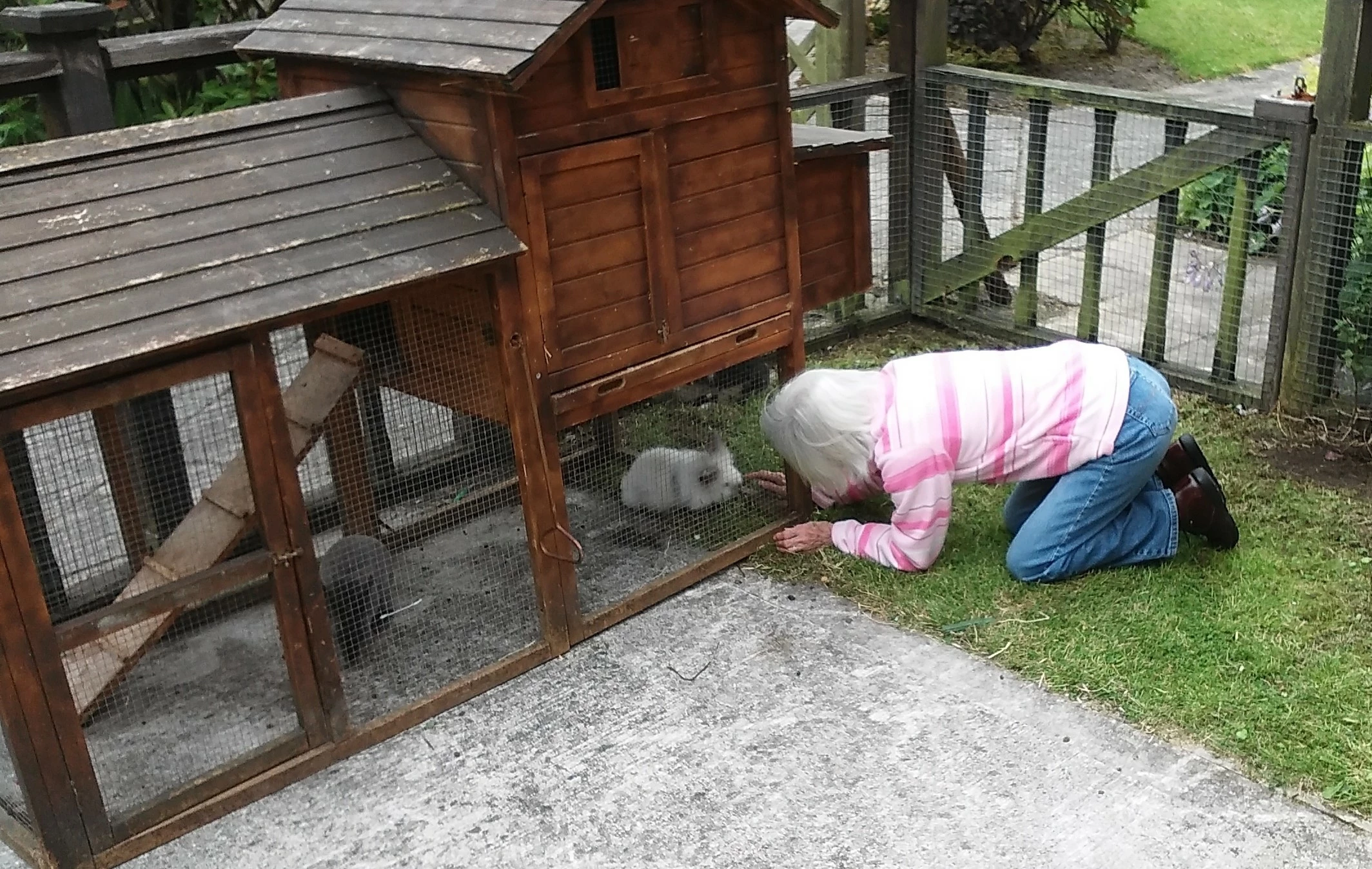 Pet Corner, The Lodge, Buckshaw