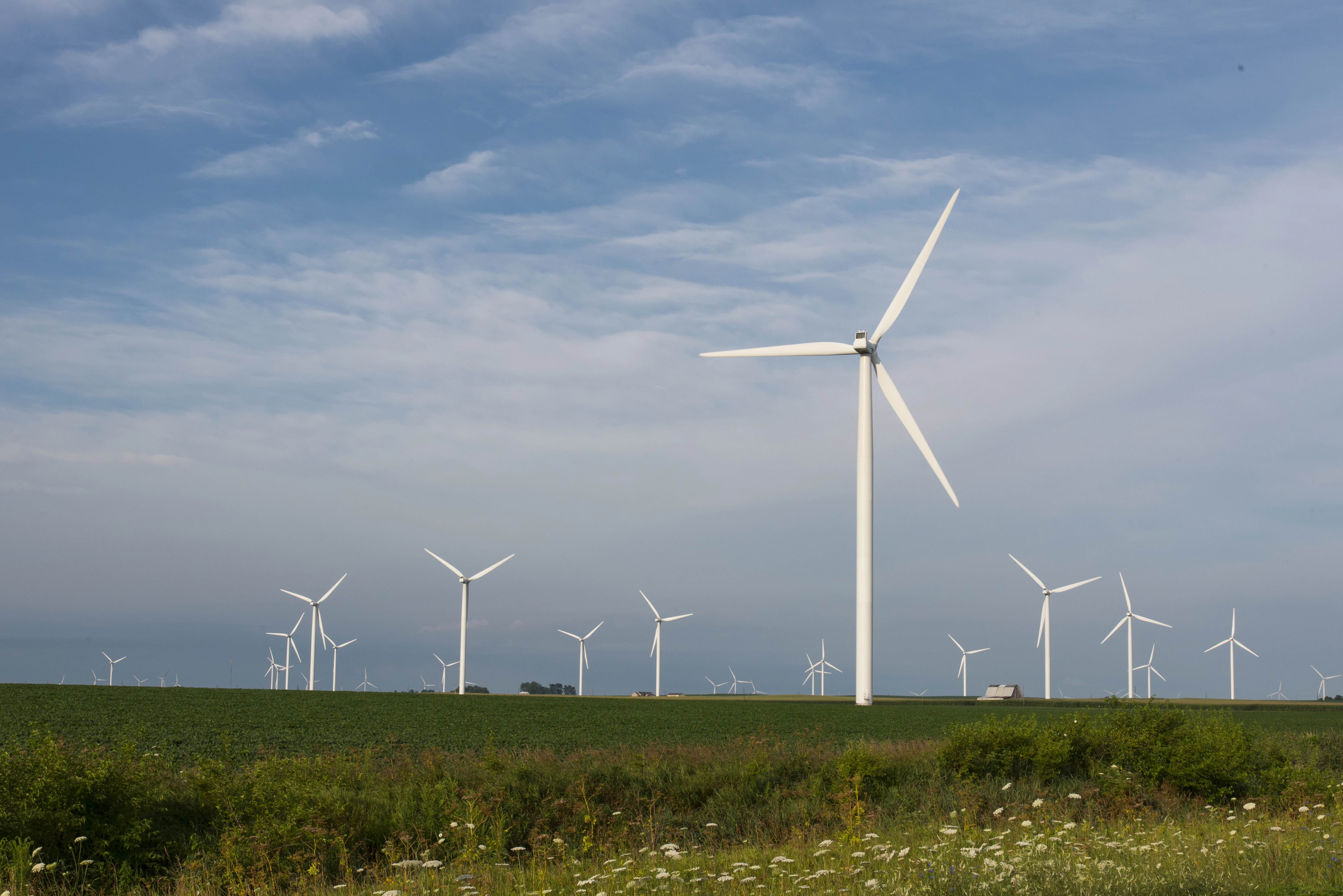 Wind Farm July 2016