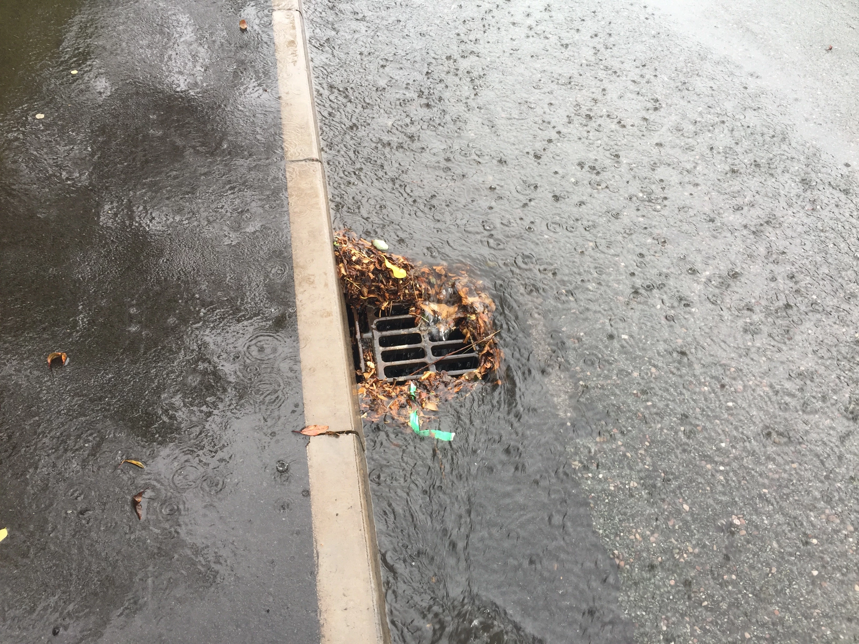 Flooded gullies on a residential street 