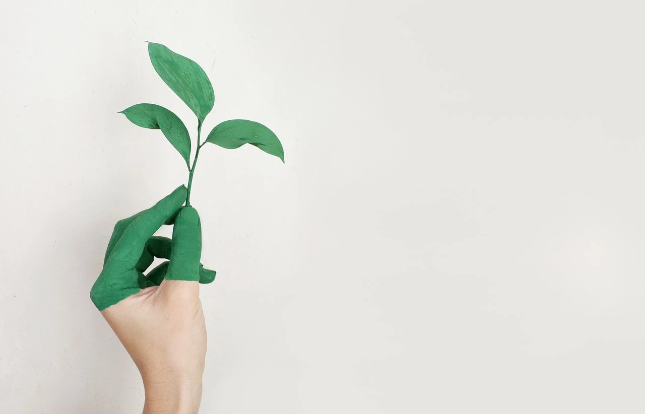 Plant in hand