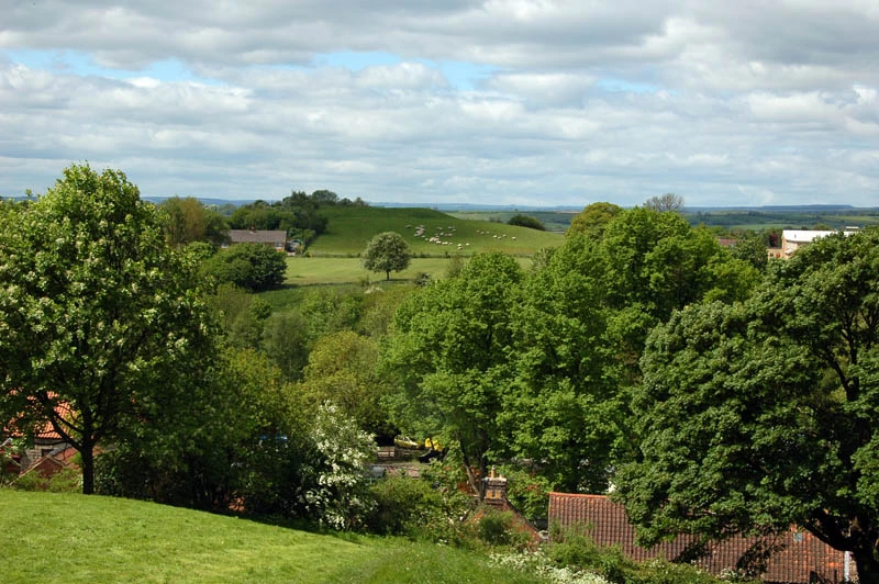 Pickering landscape