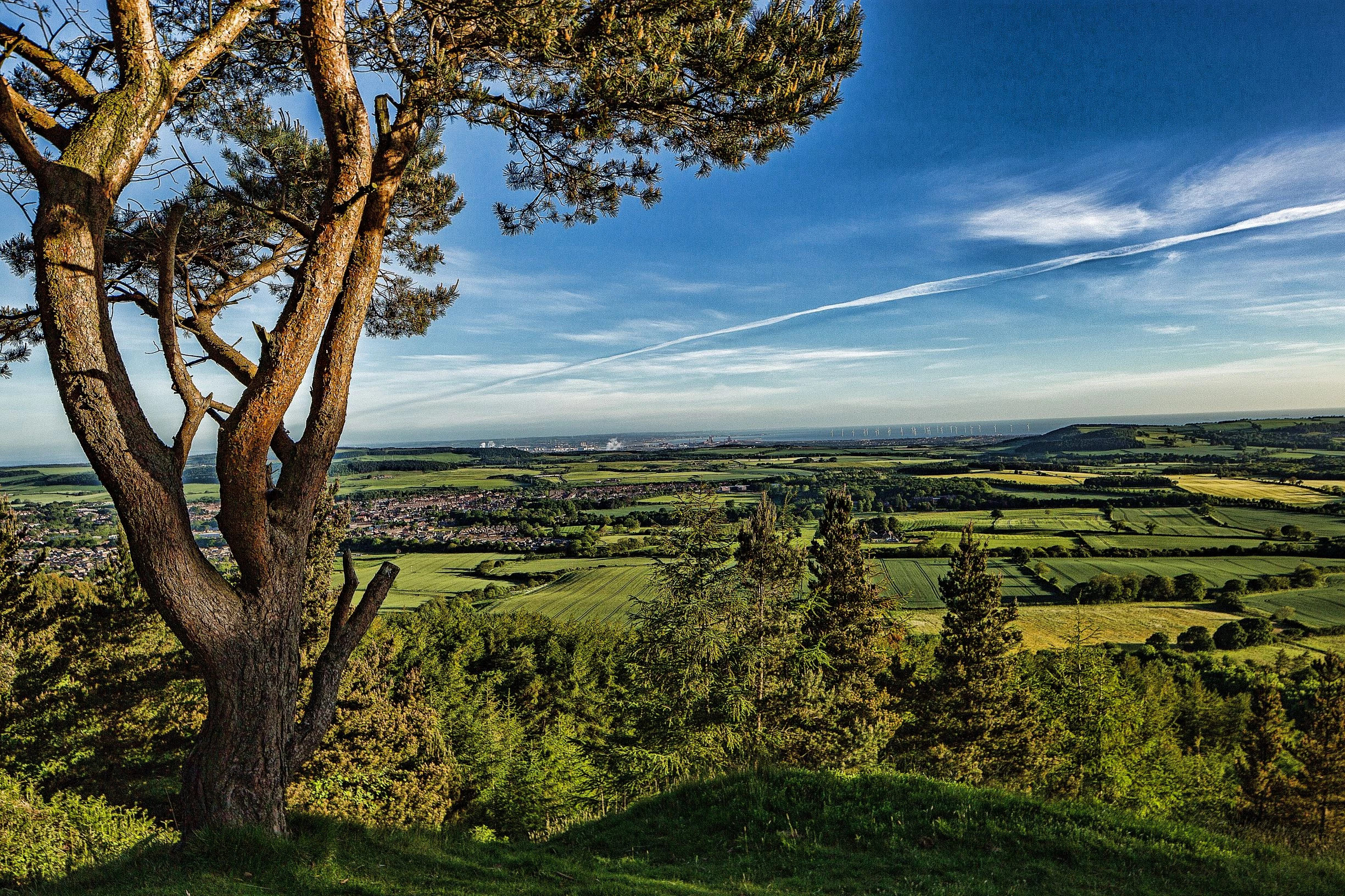 A landscape shot of rural Redcar.