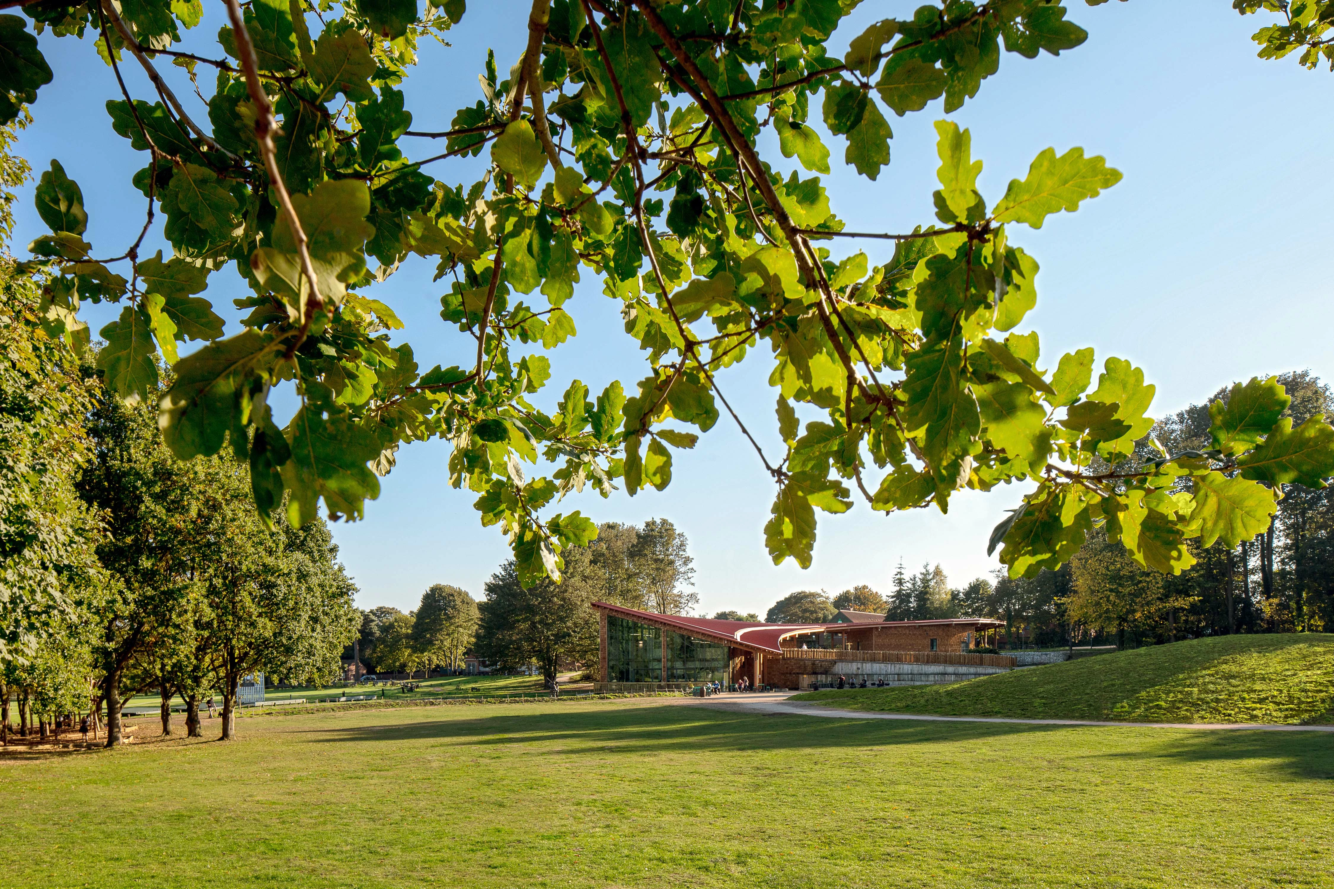 Newcastle architects design Sherwood Forest visitor centre.