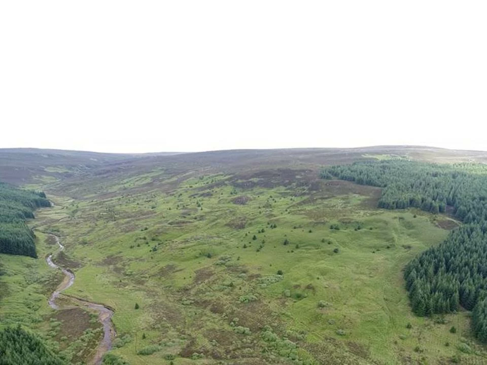 Kielder Wildwood project area from the air 