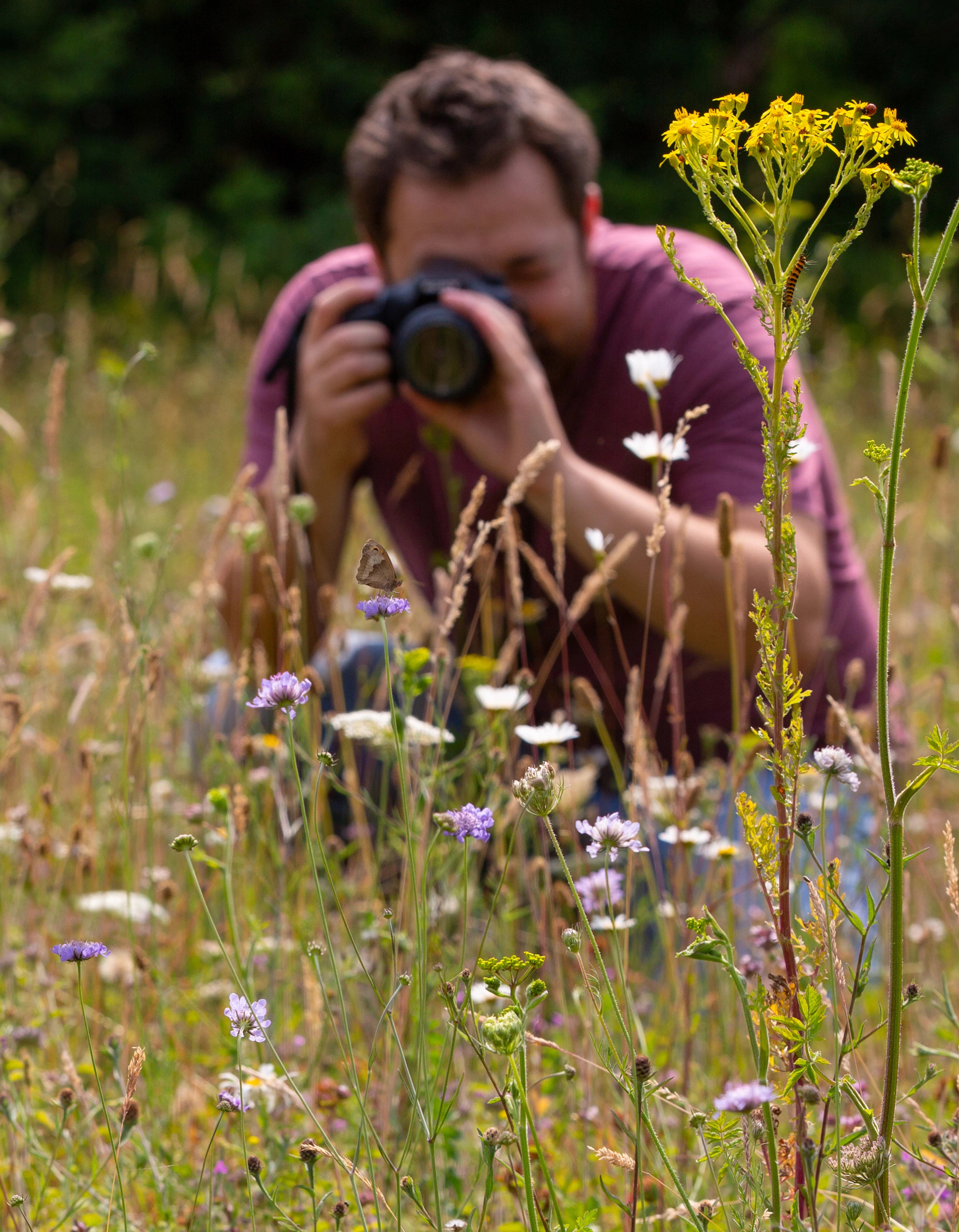 Photographer