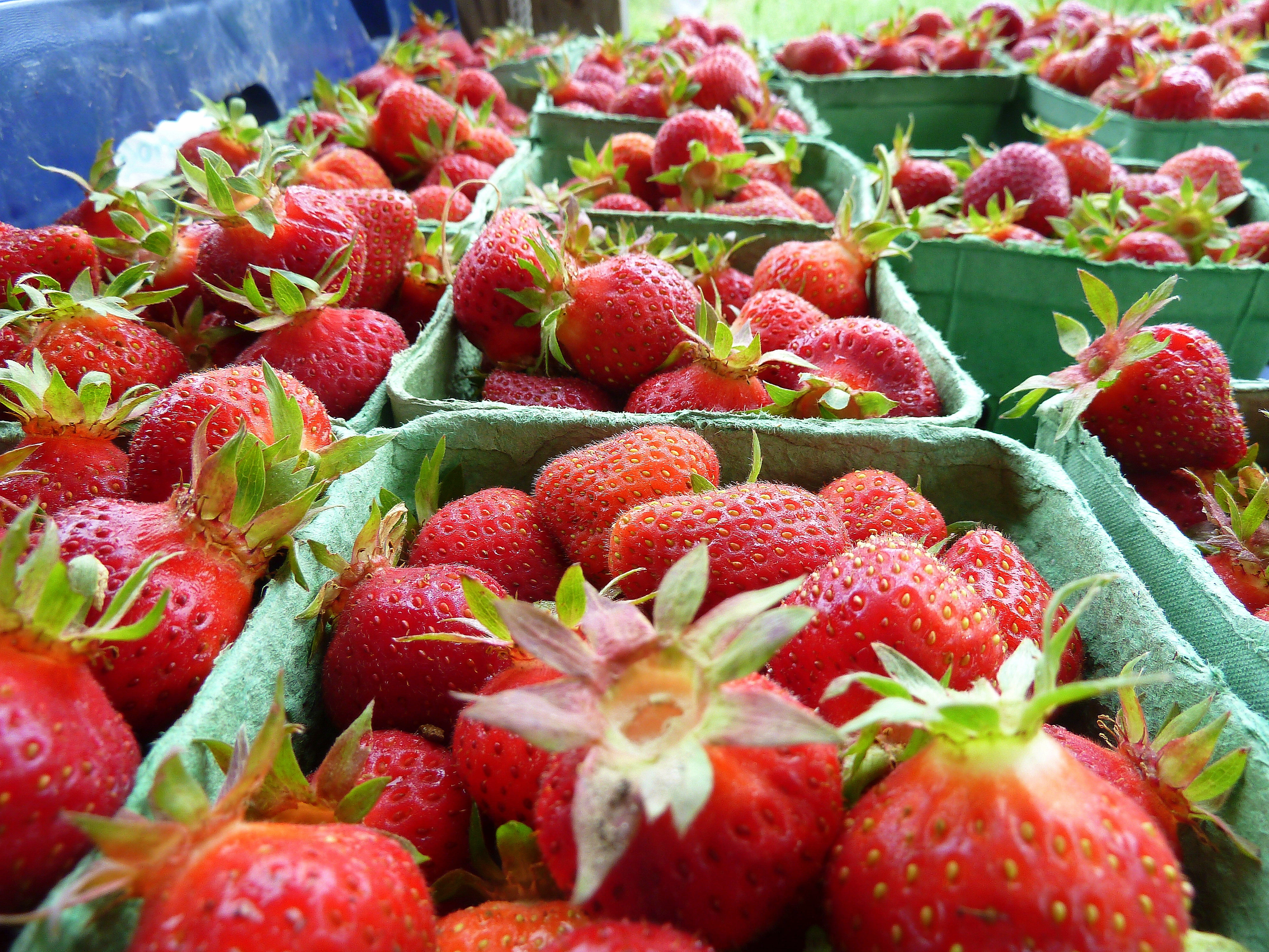 Clagett Farm Share May 10 and 14