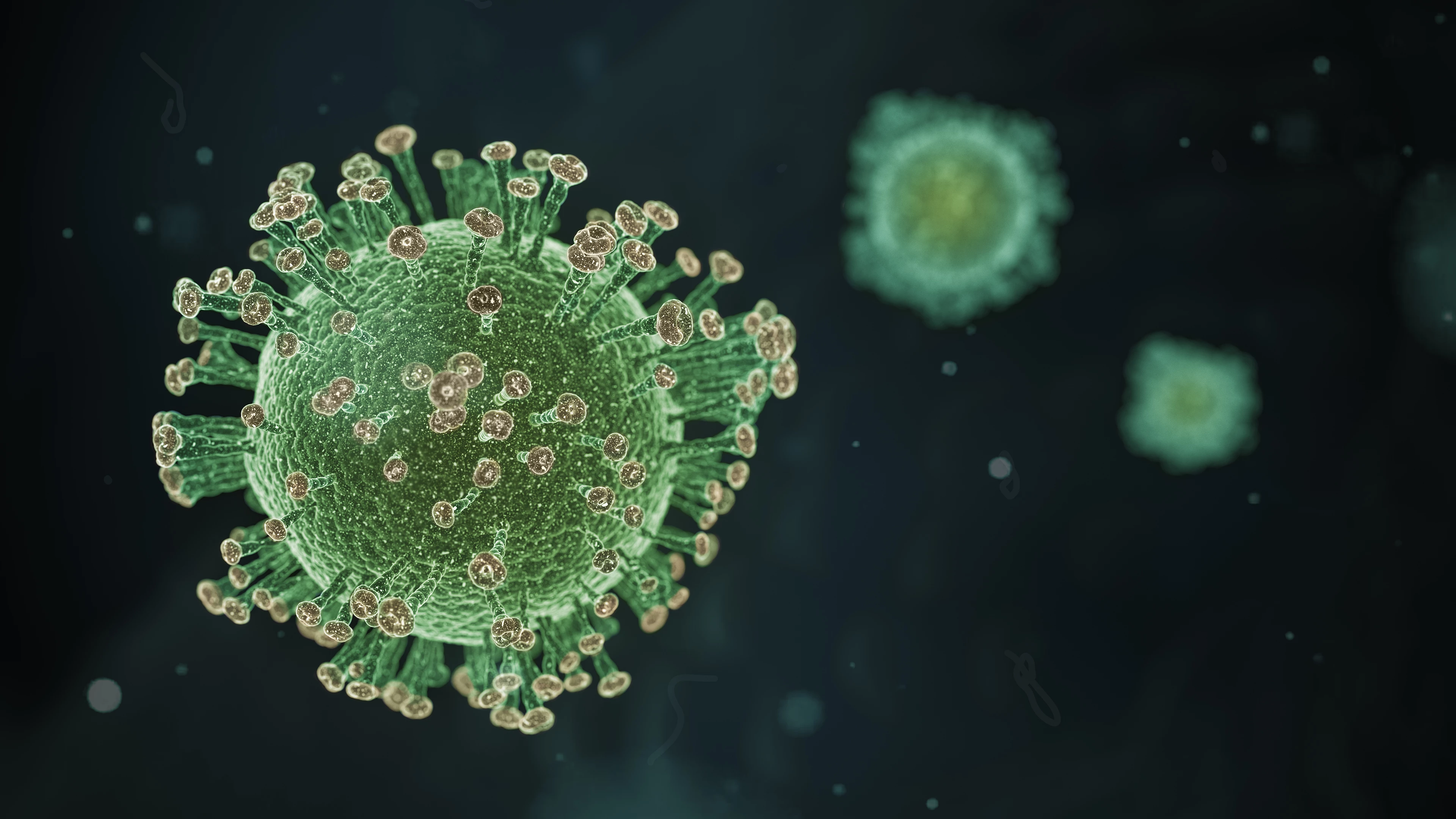 Coronavirus