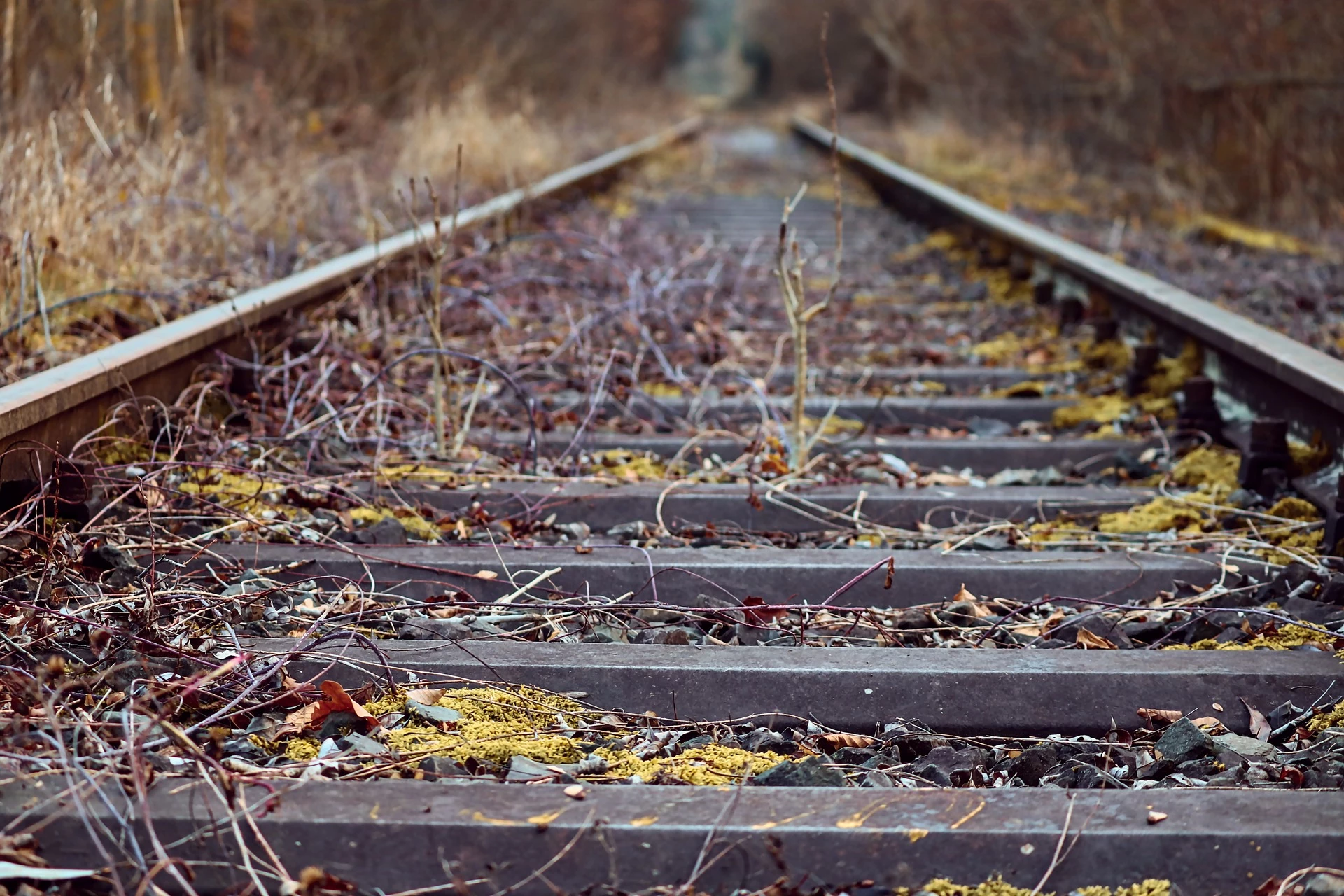 Passenger services could boost the local economy by £70m