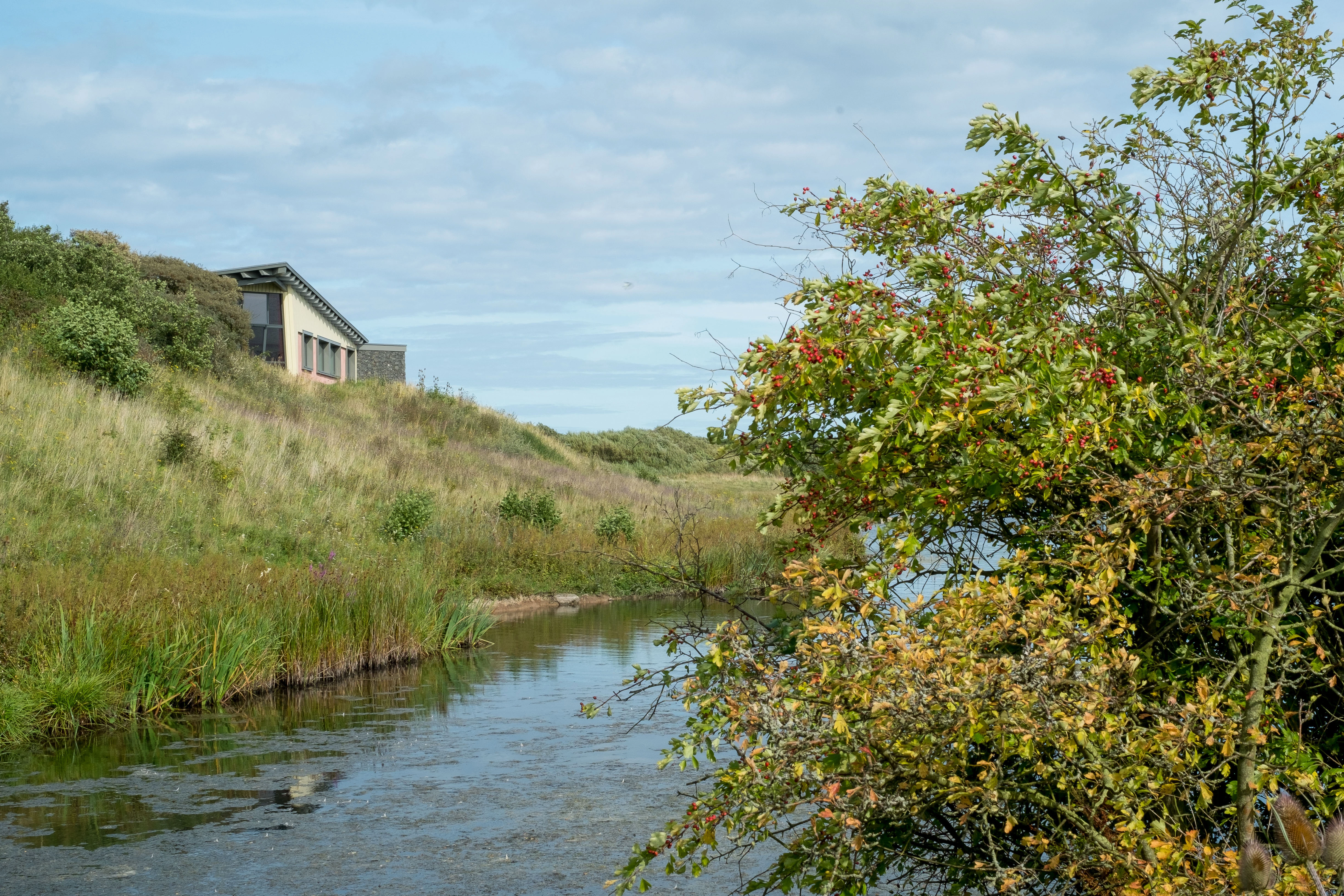 Hauxley nature reserve