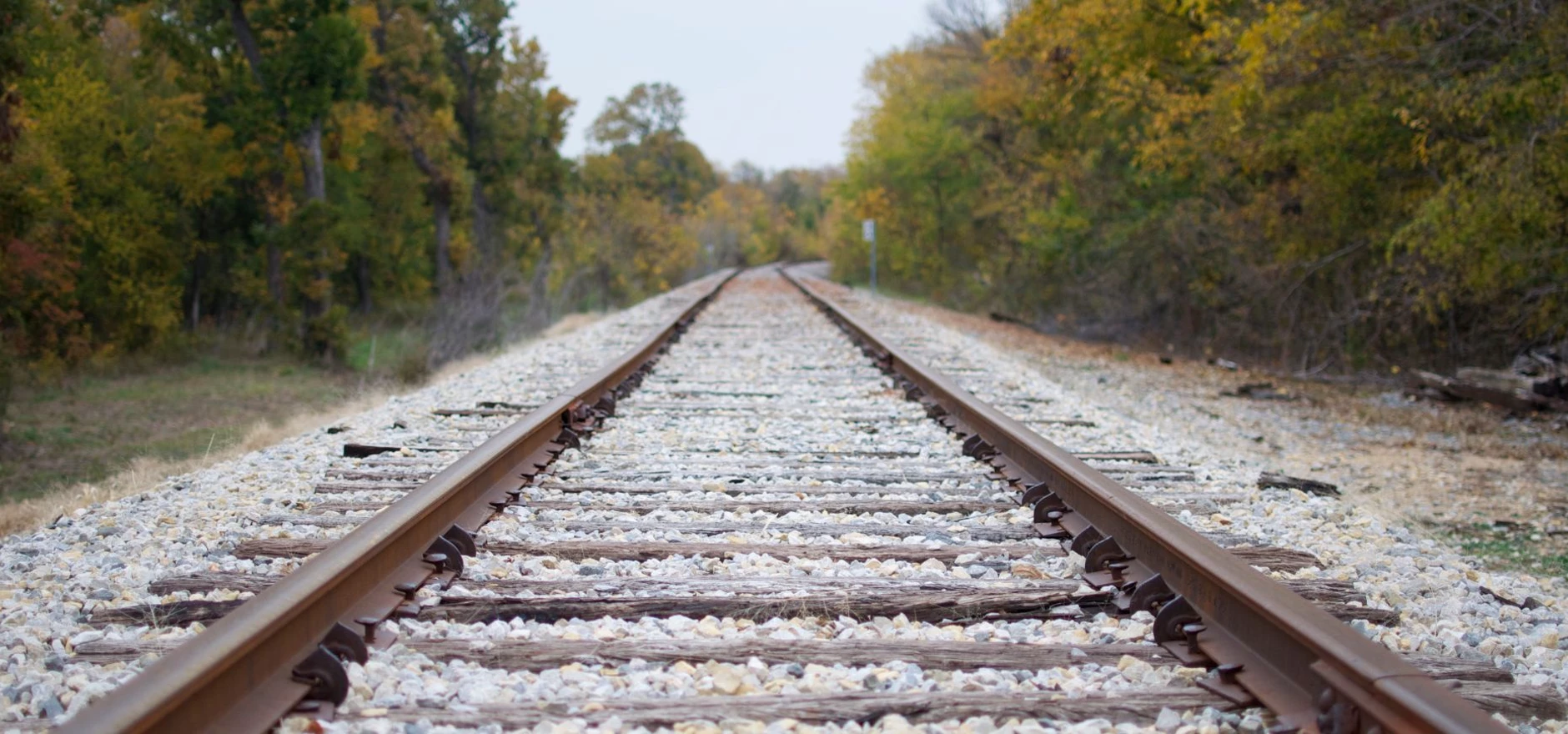 GOVERNMENT-RUN TRANSPENNINE TRAINS URGED TO BUILD NEW FLEET IN THE NORTH