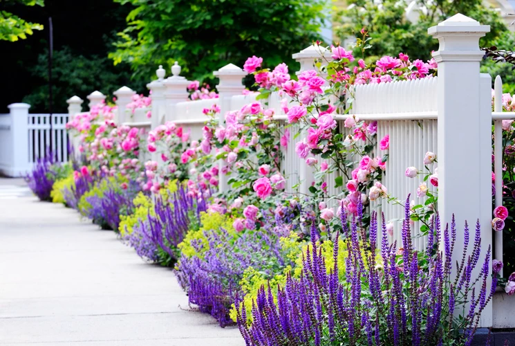 Garden Fencing