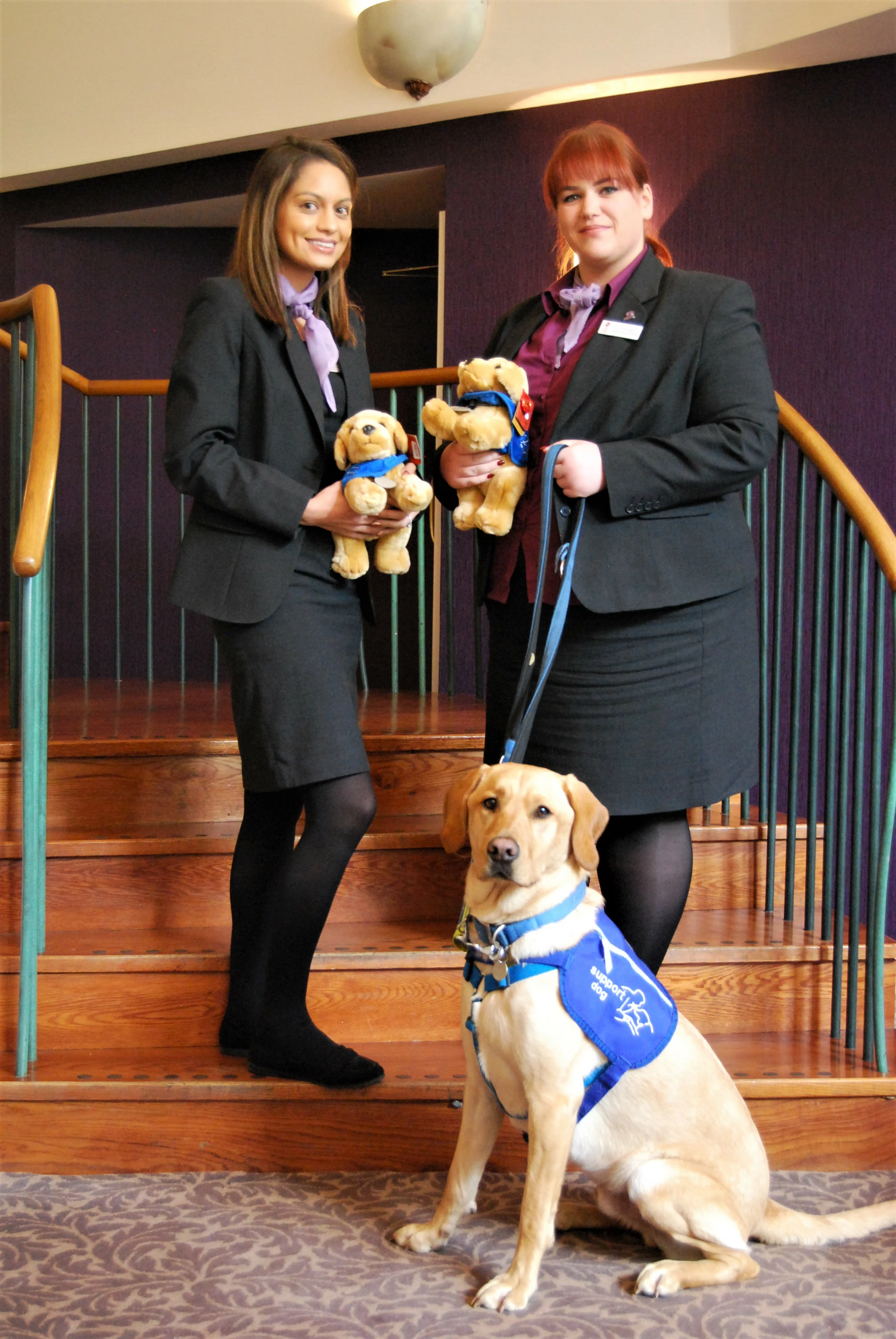 Support Dog, Bodie, Impresses the Hotel Team