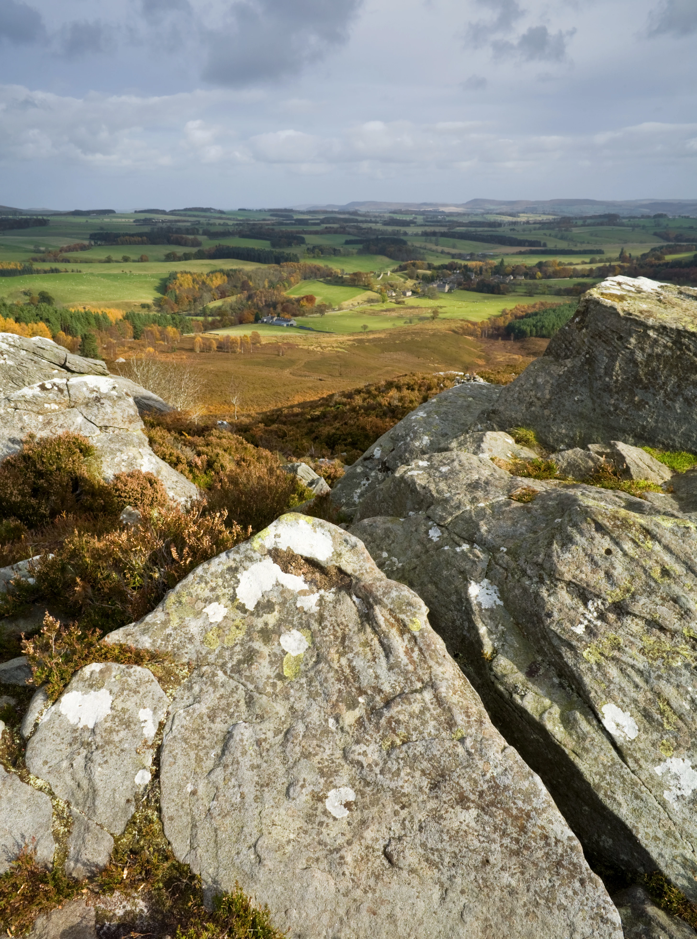 Harbottle by David Taylor