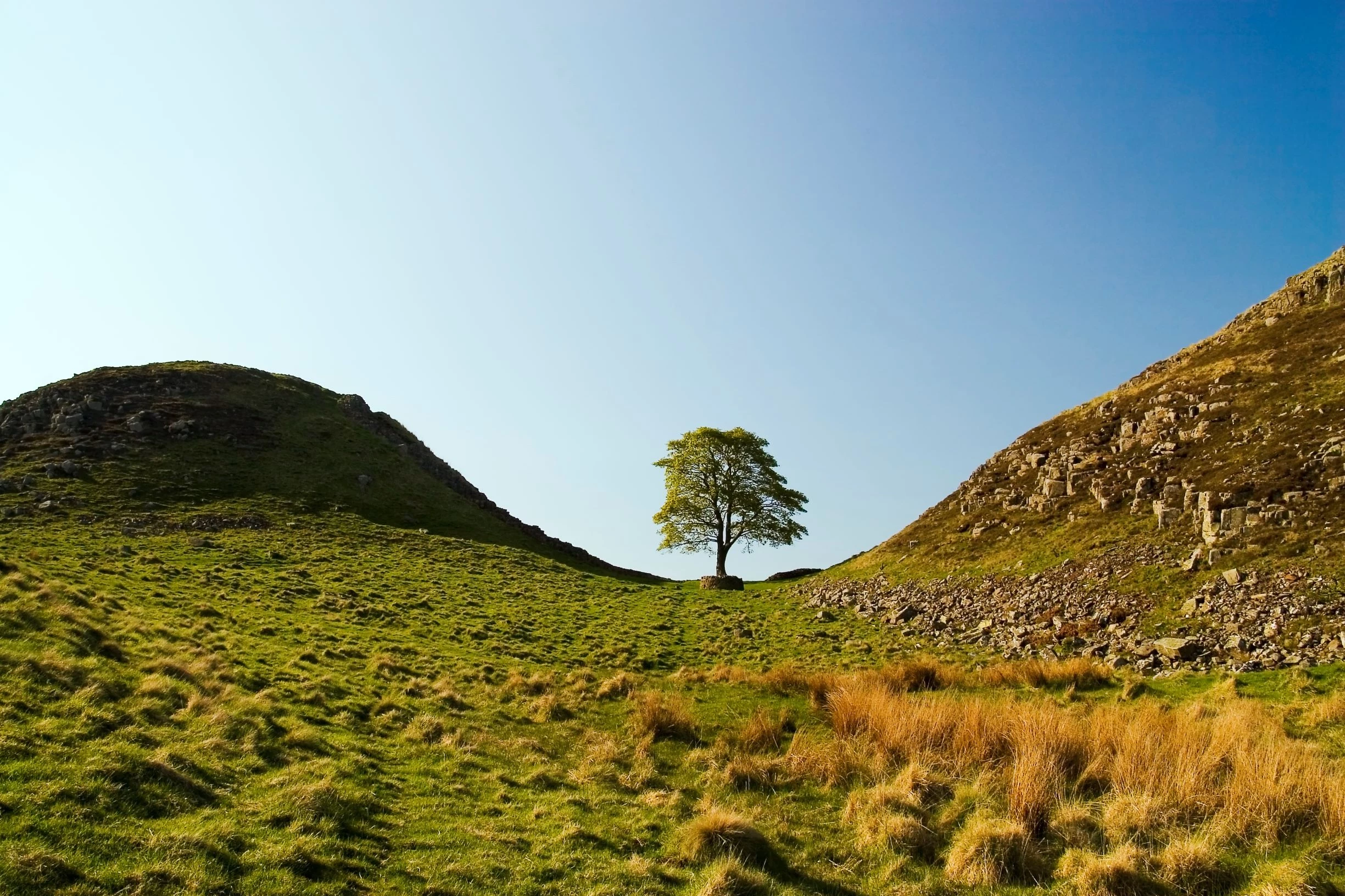 Hadrian's Wall