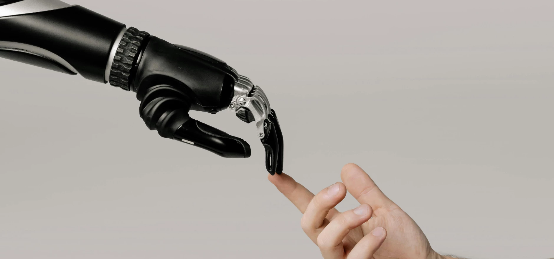 Bionic Hand and Human Hand Finger Pointing