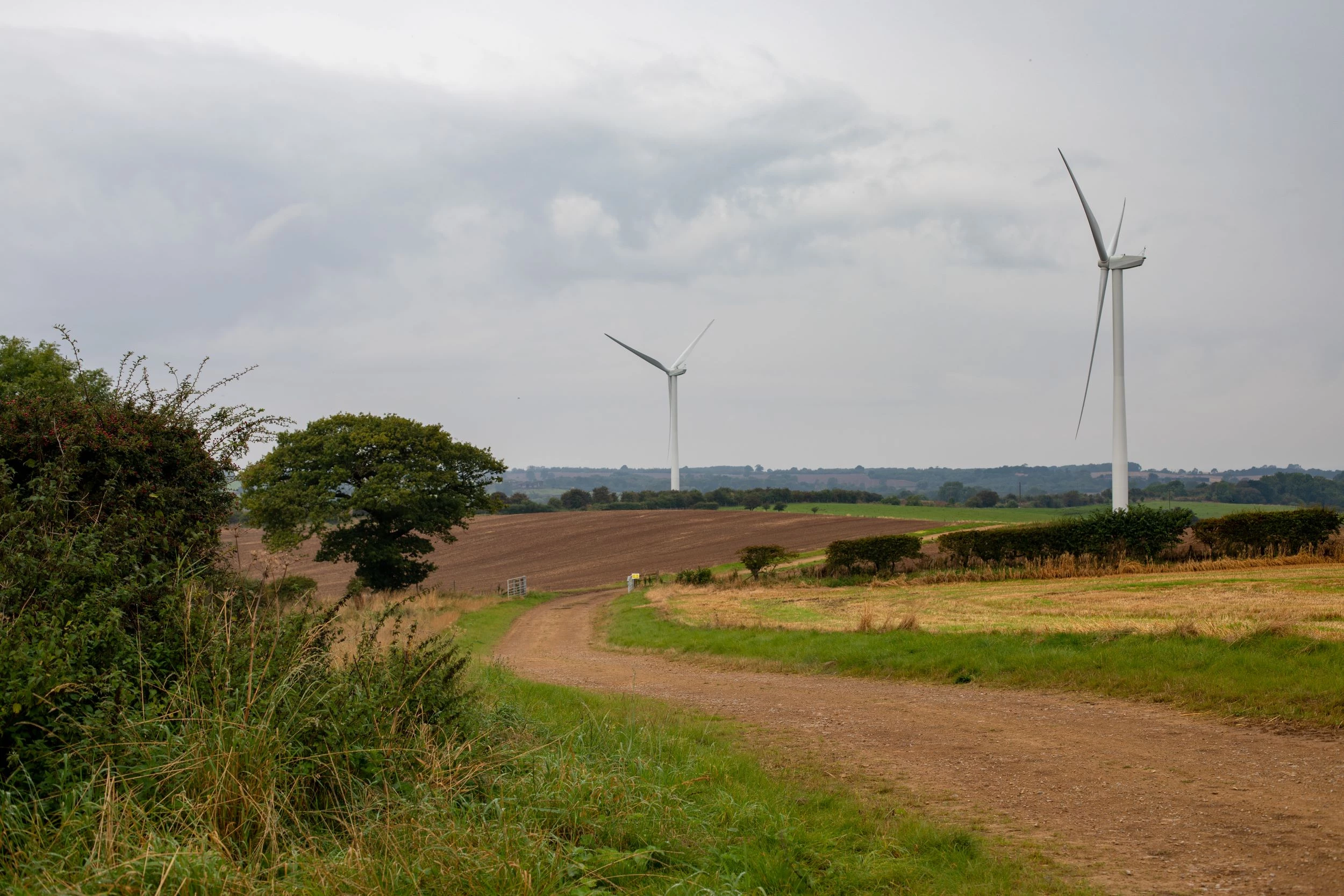 Banks Renewables' Lambs Hill Wind Farm near Stockton