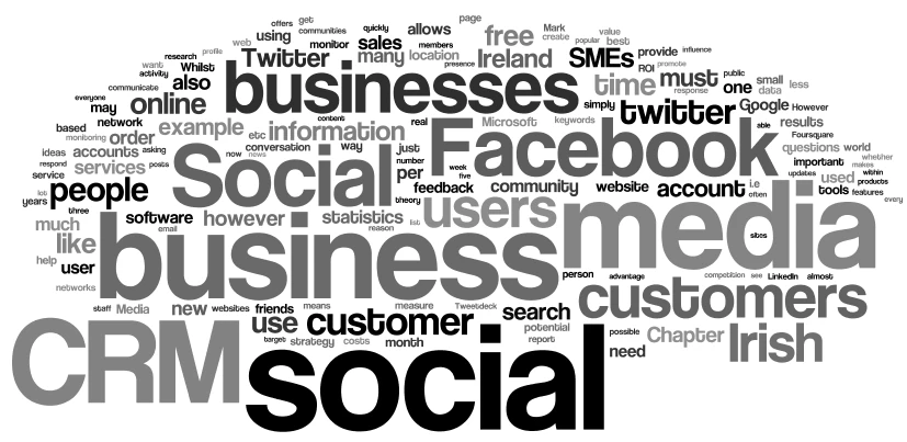 social crm dissertation wordle