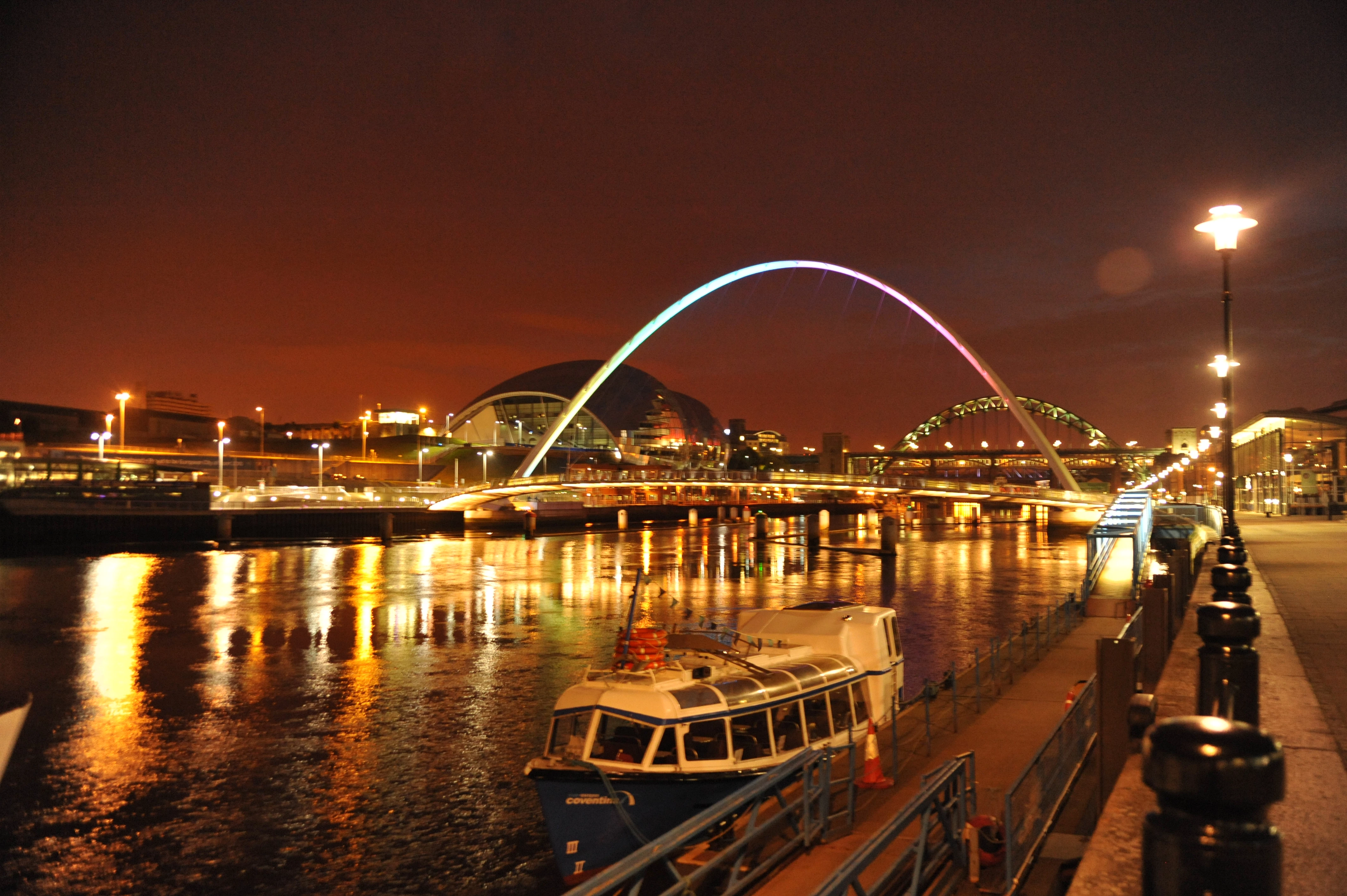 Night on the Toon