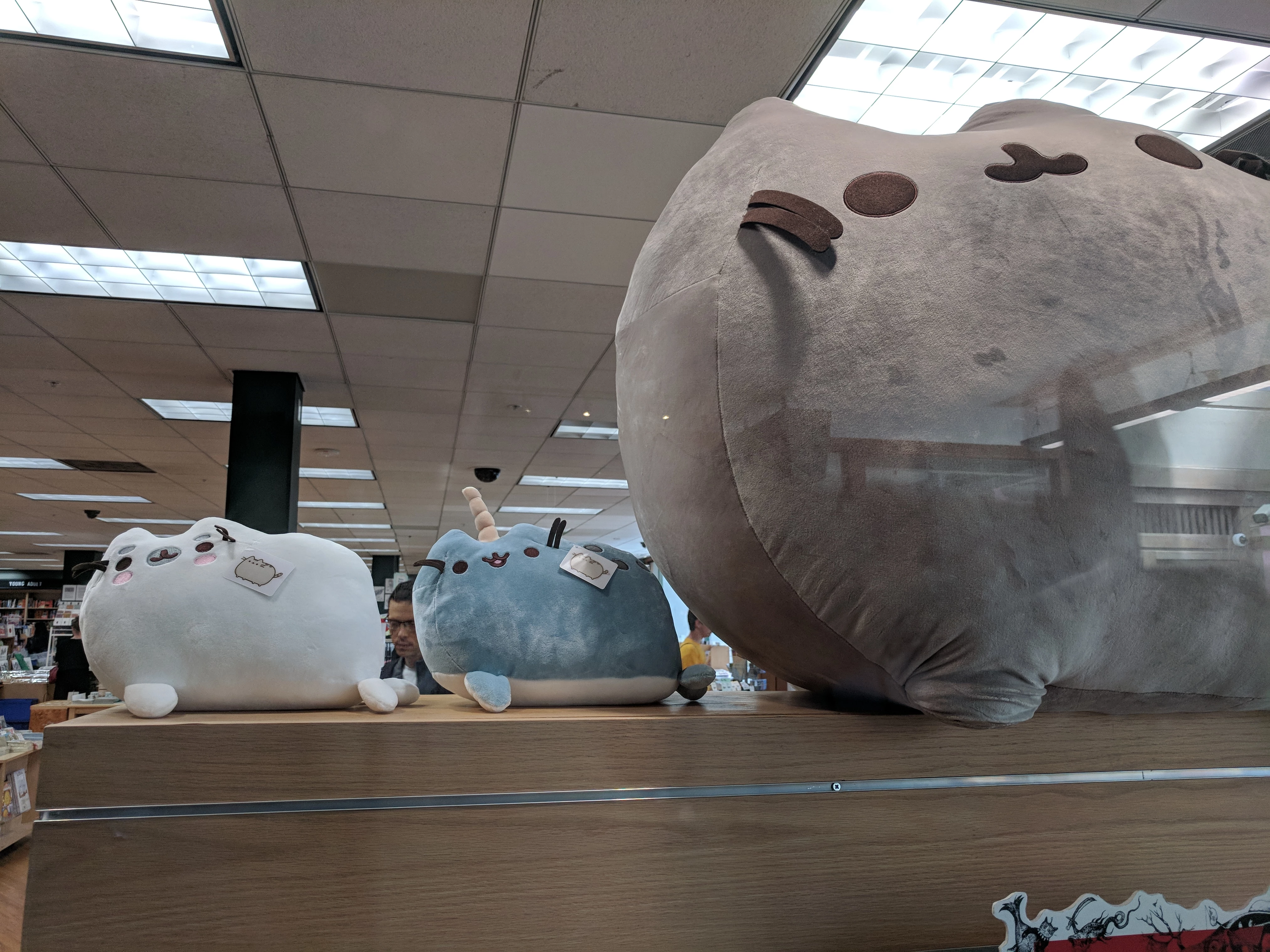 Narwhal Pusheen! Kinokuniya bookstore, Japantown, San Francisco