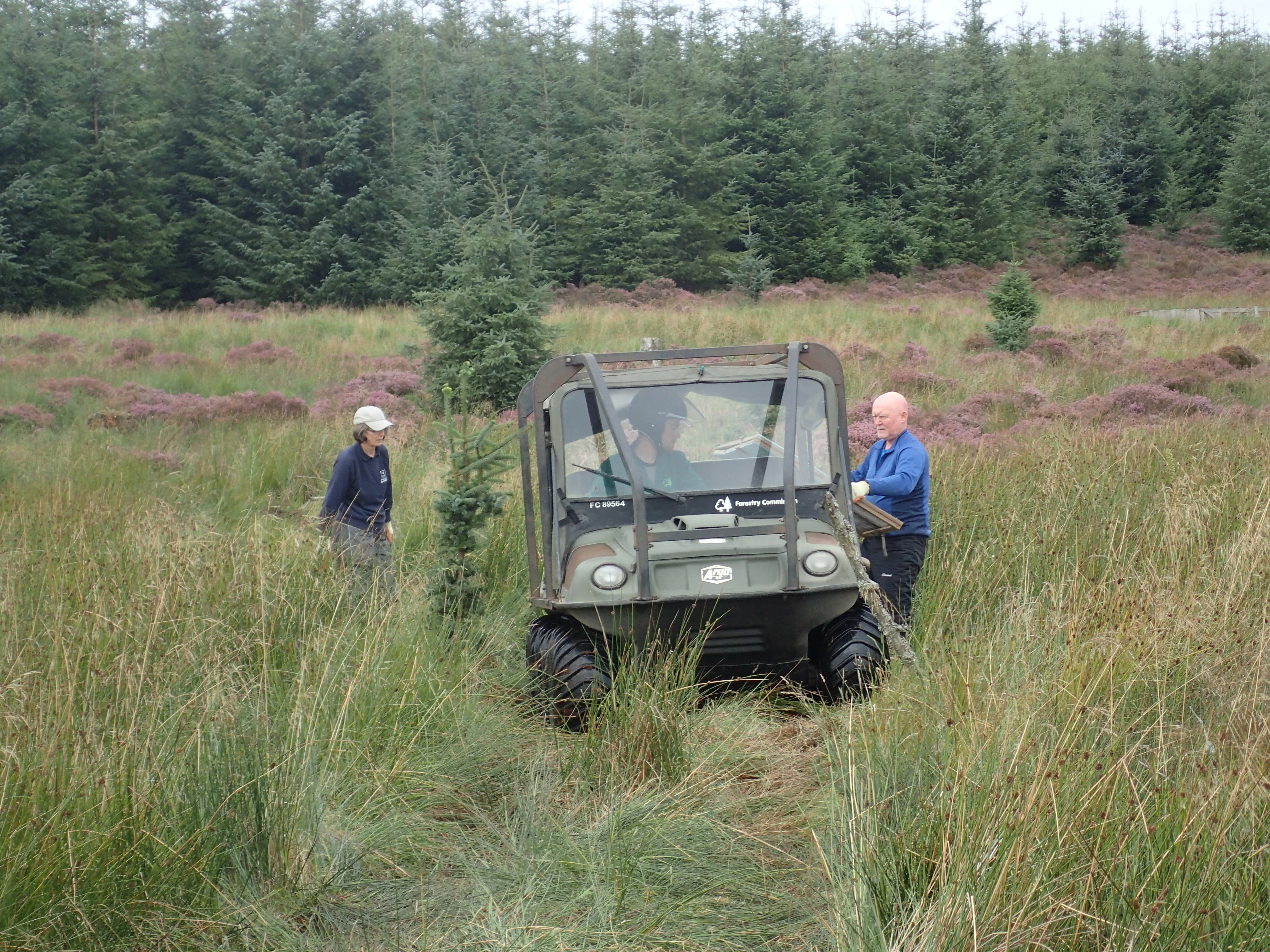 Volunteers releasing water voles into Kielder, 