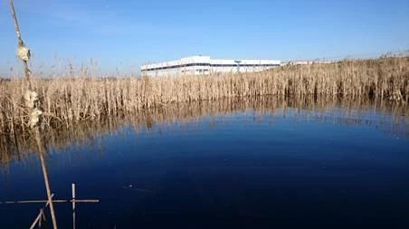 DP World London Gateway ecological receptor site