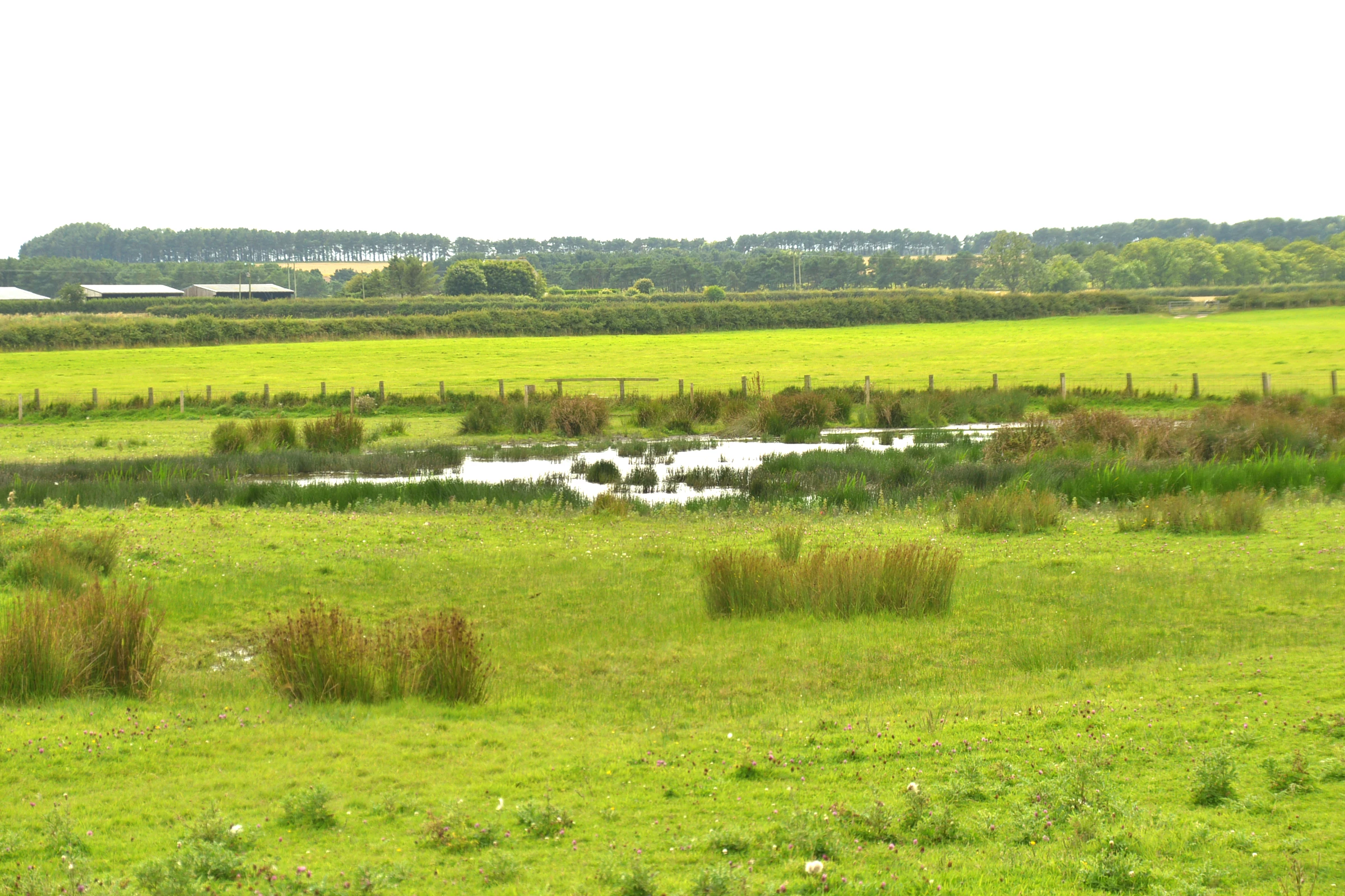 Druridge Pools