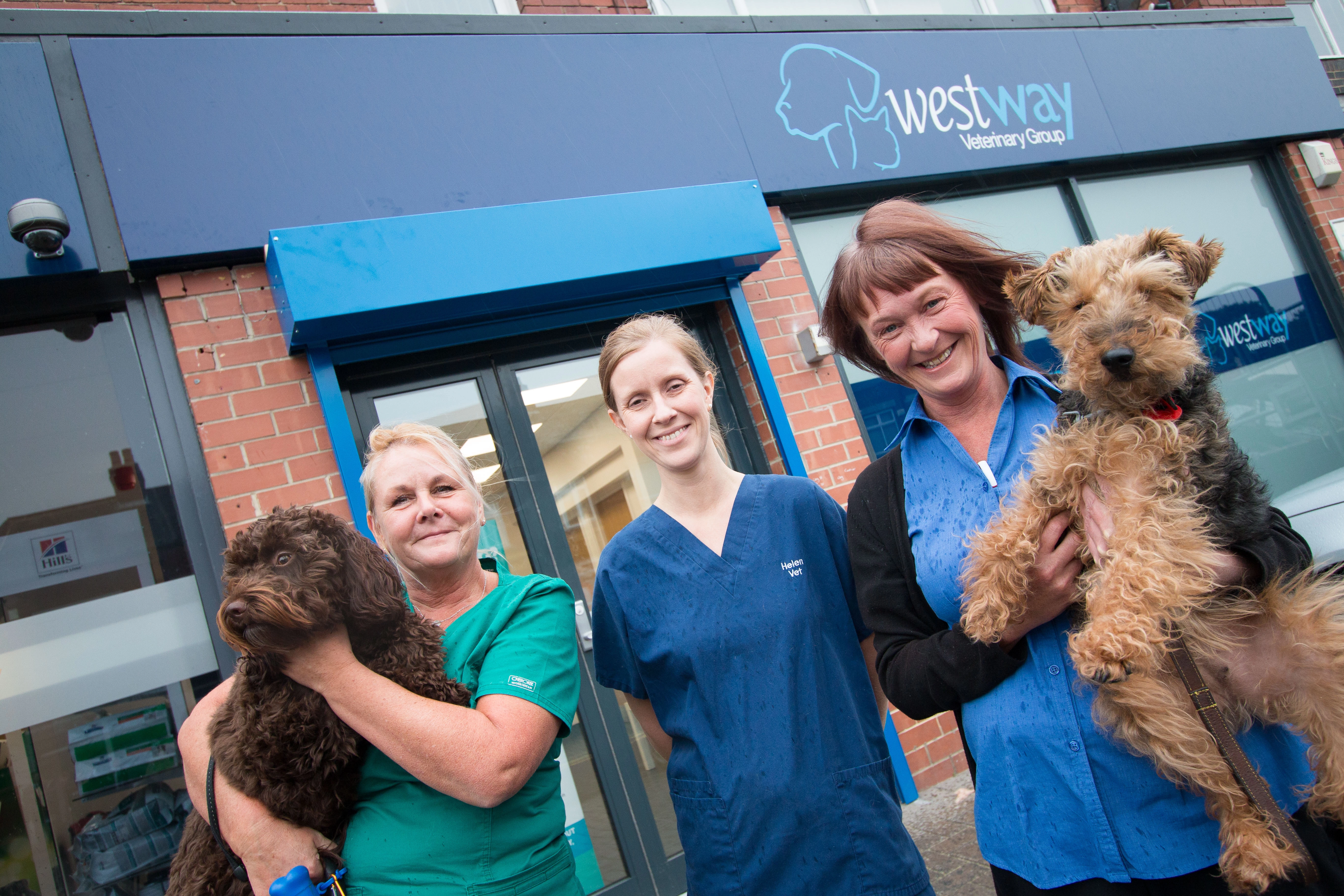 L-R: head veterinary nurse Kay Sanderson with cockapoo Willow, clinical director Helen Clark and senior receptionist Jo Chisholm, with Welsh Terrier Ava