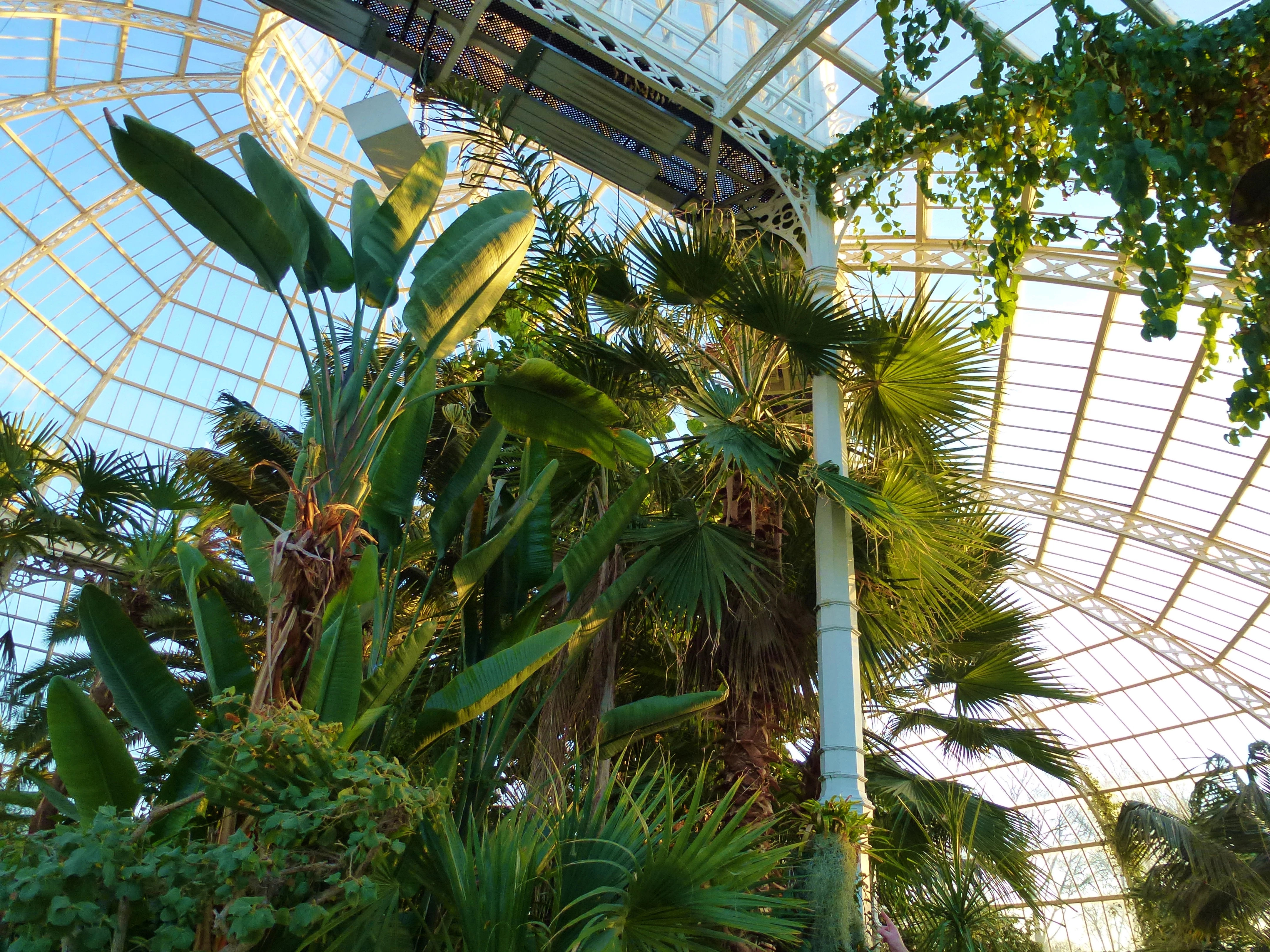 Sefton Park Palm House