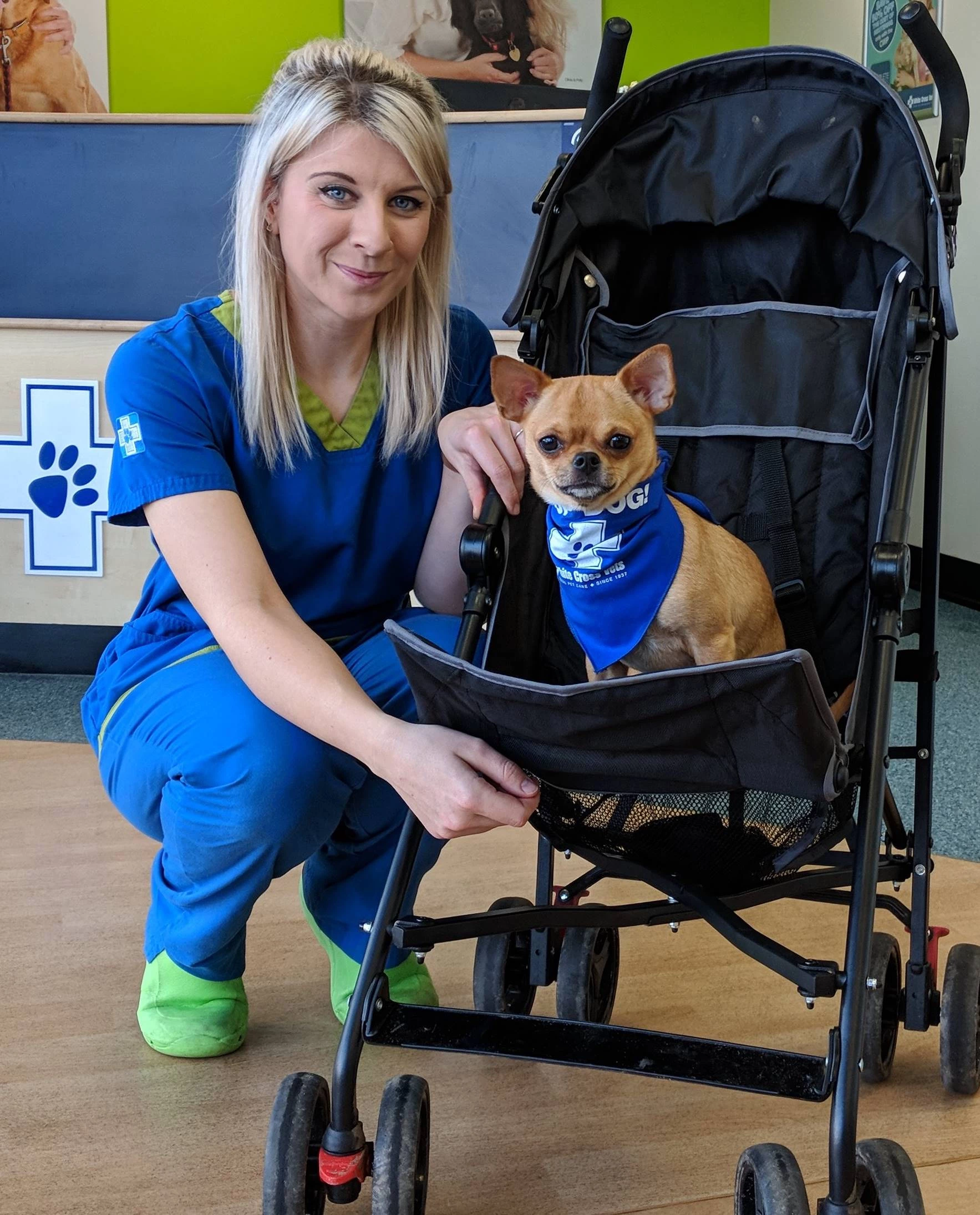 Client care co-ordinator Emma Leighton and her dog Nacho are welcoming the ‘peternity’ leave initiative introduced by White Cross Vets. 