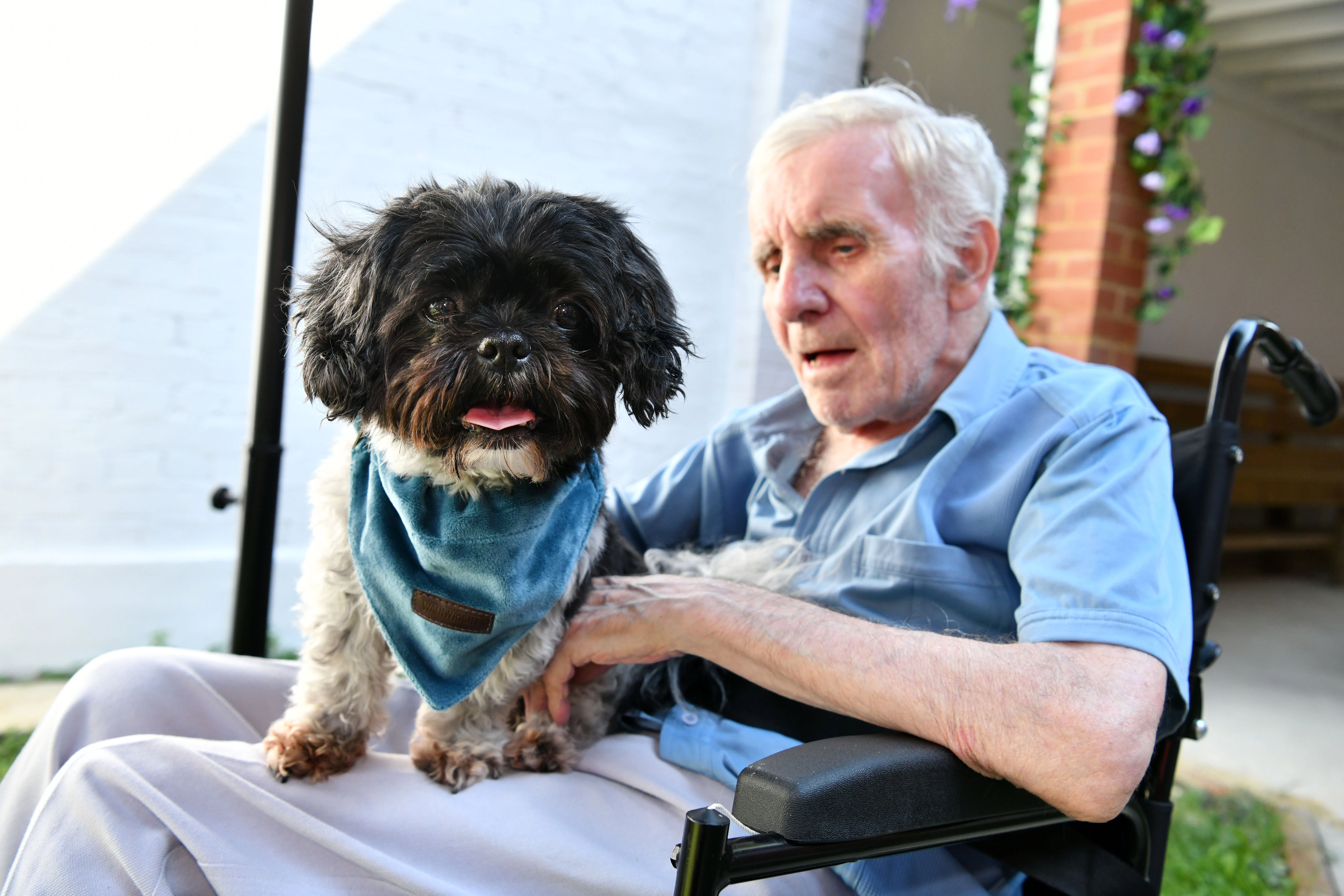 Abbey Healthcare Manor Farm Care Home - dog therapist