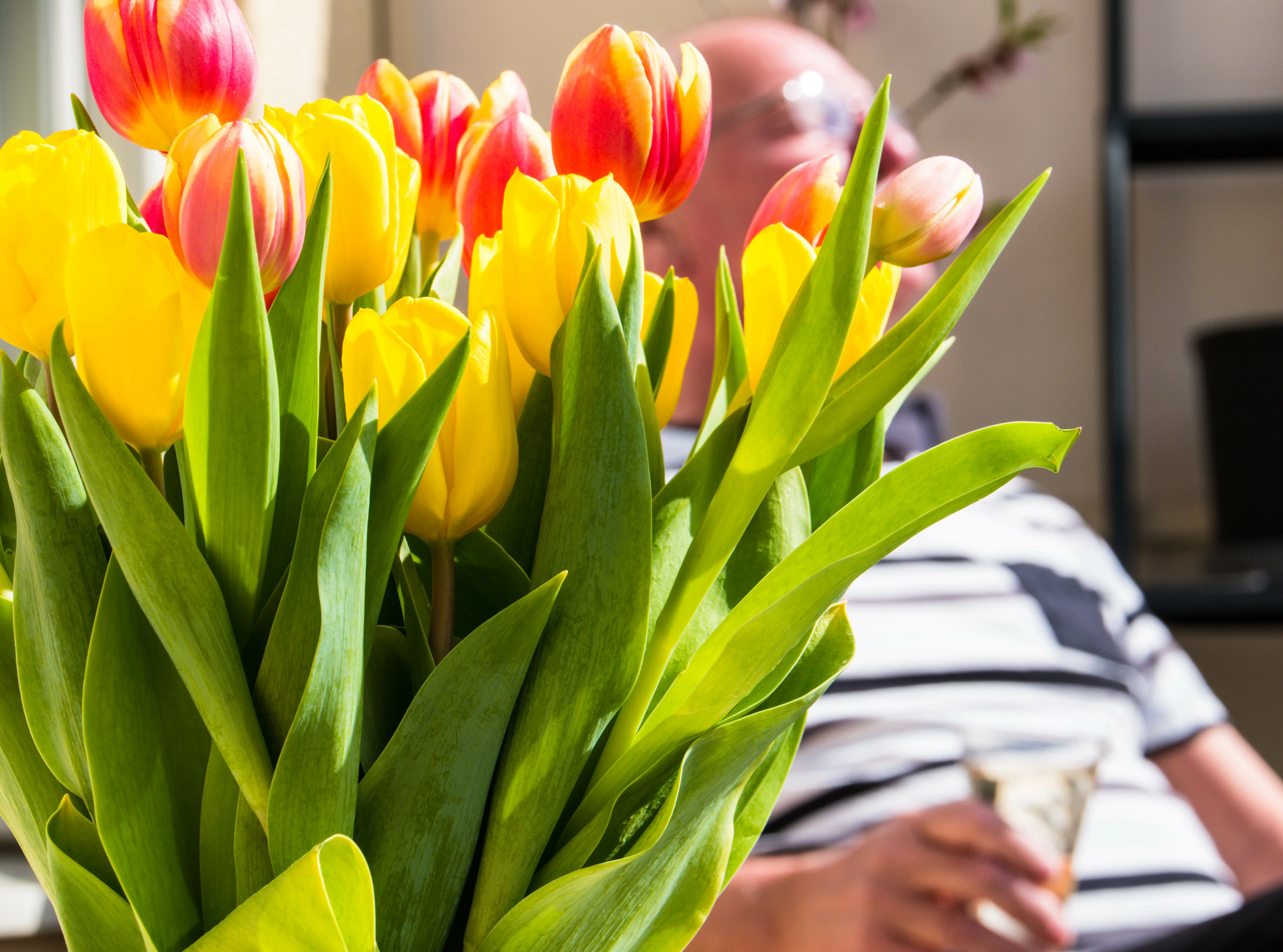 Spring feelings - enjoying life on the balcony (explore 2017-04-16)