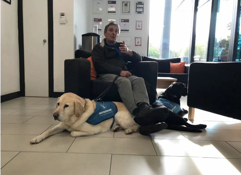 Service dogs from Guide Dogs charity visit Search Laboratory 