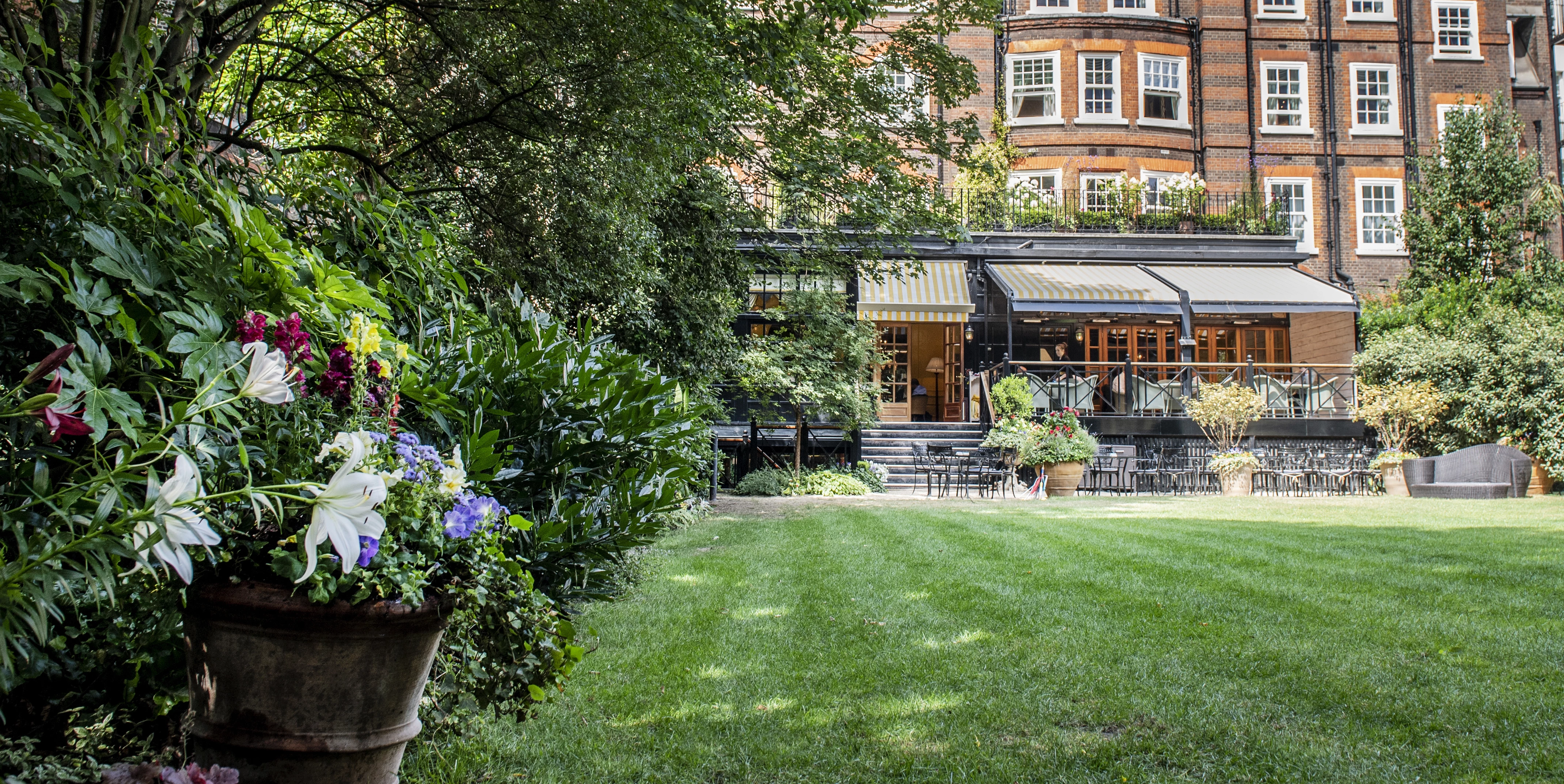 The restaurant will be housed within an orangery looking onto The Goring’s garden