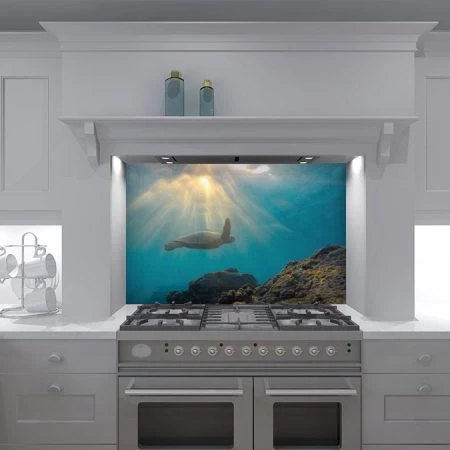 Sunlit Kitchen Splashback