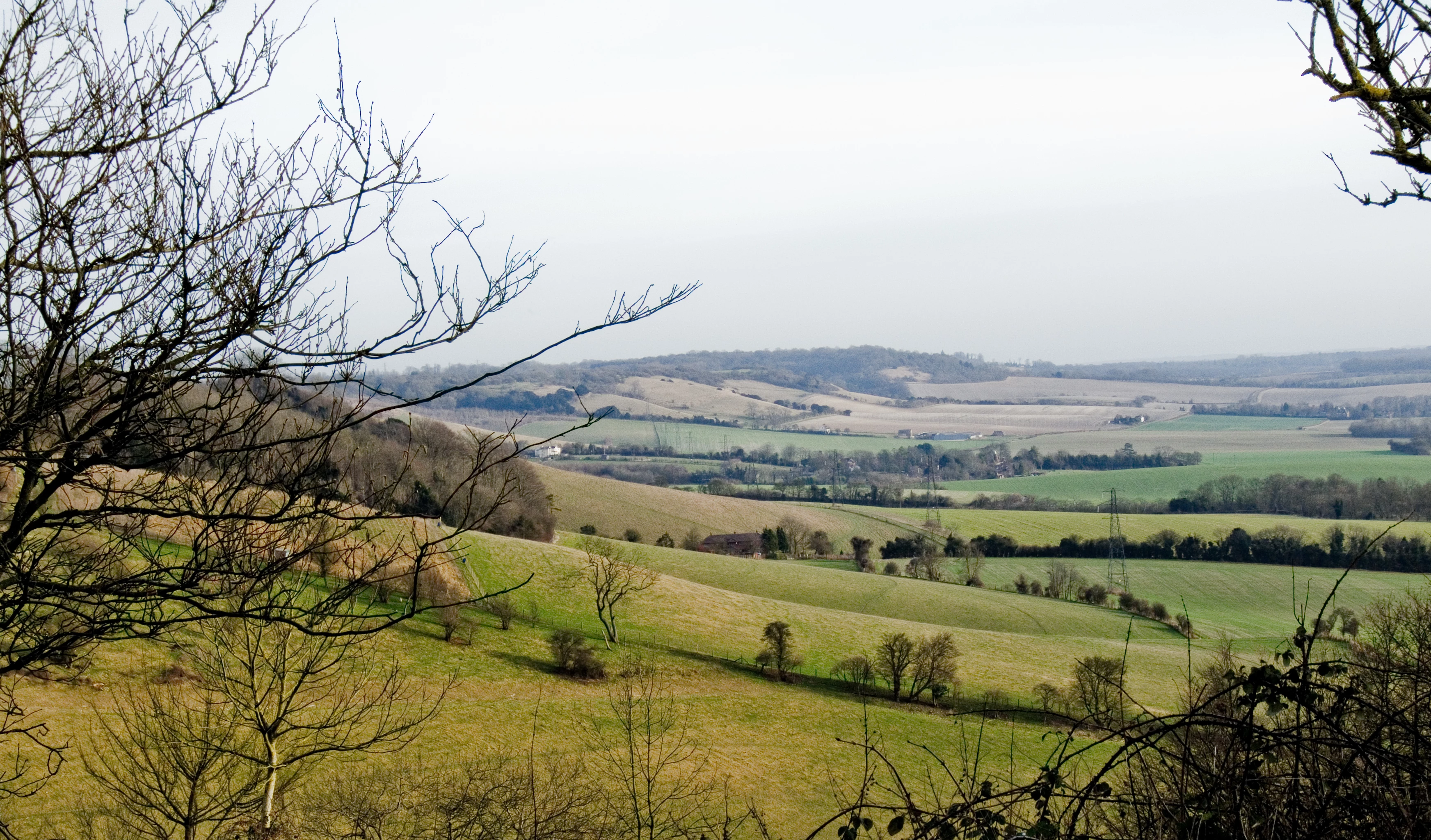 Kent Countryside