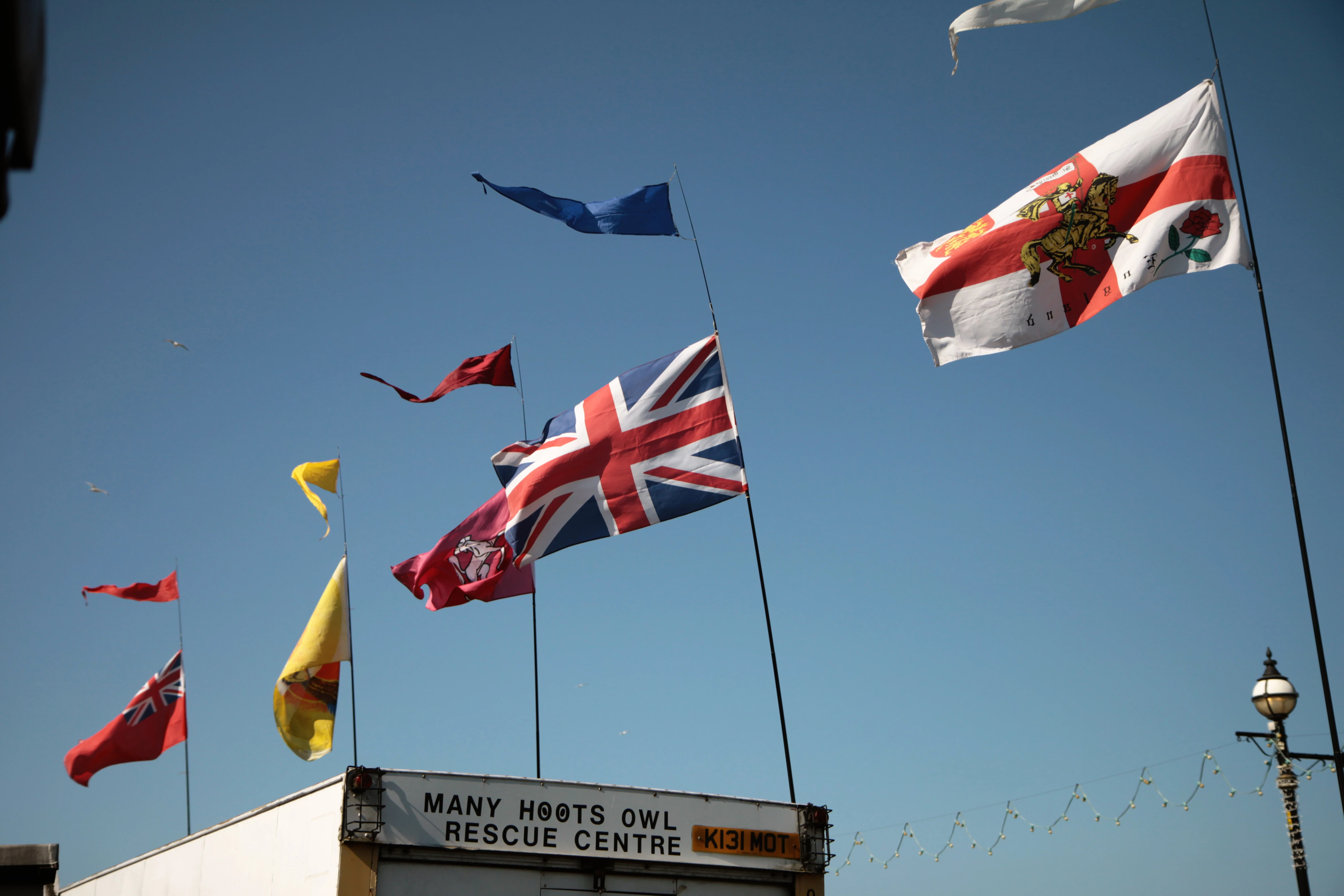 flags