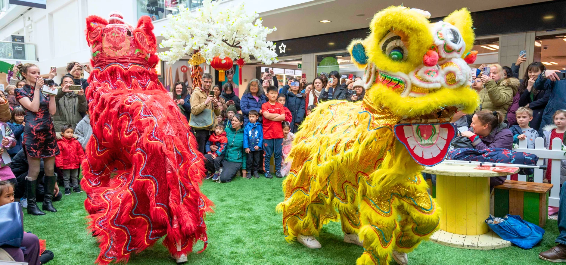 Lunar New Year celebrations at Leeds Merrion Centre