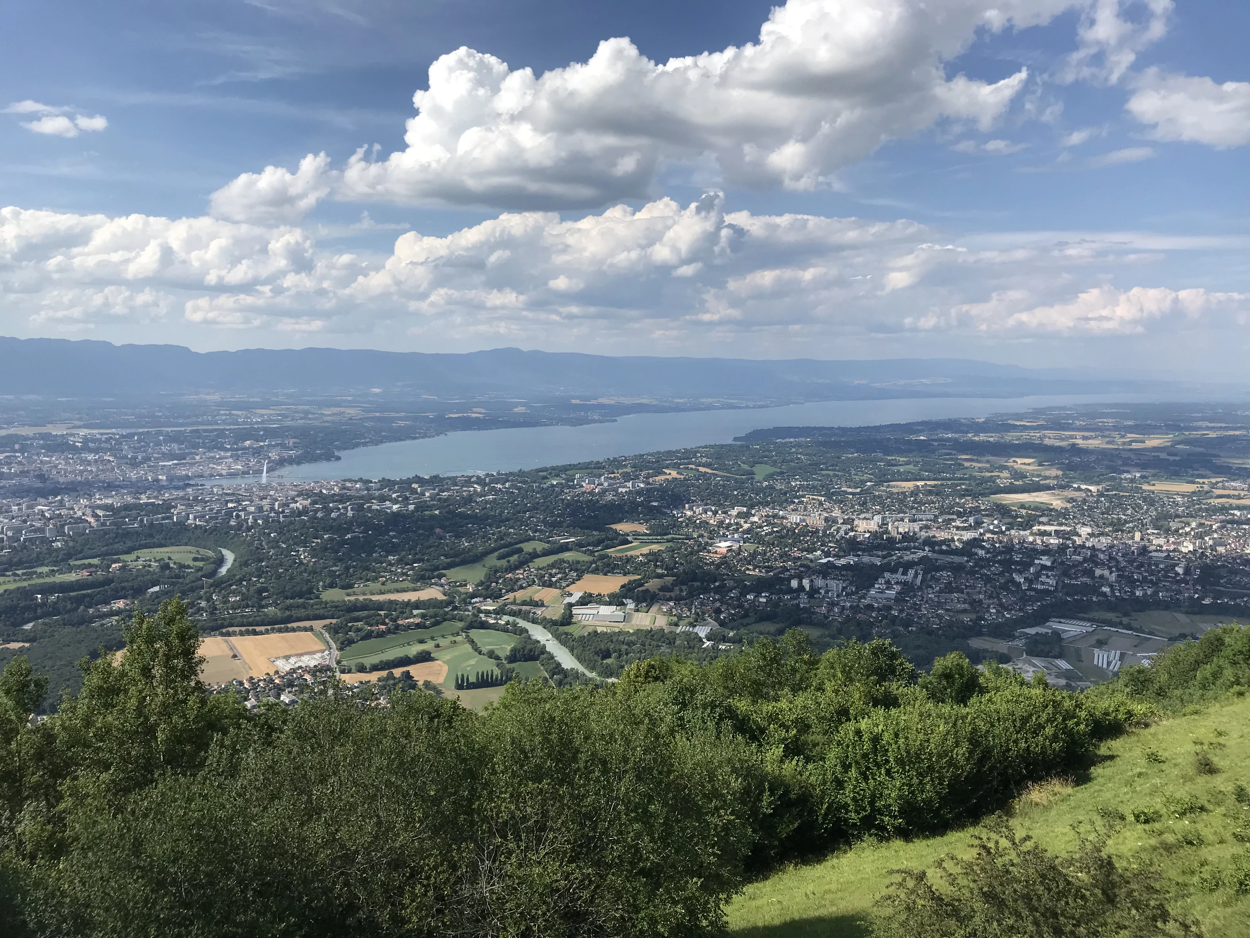 Geneva