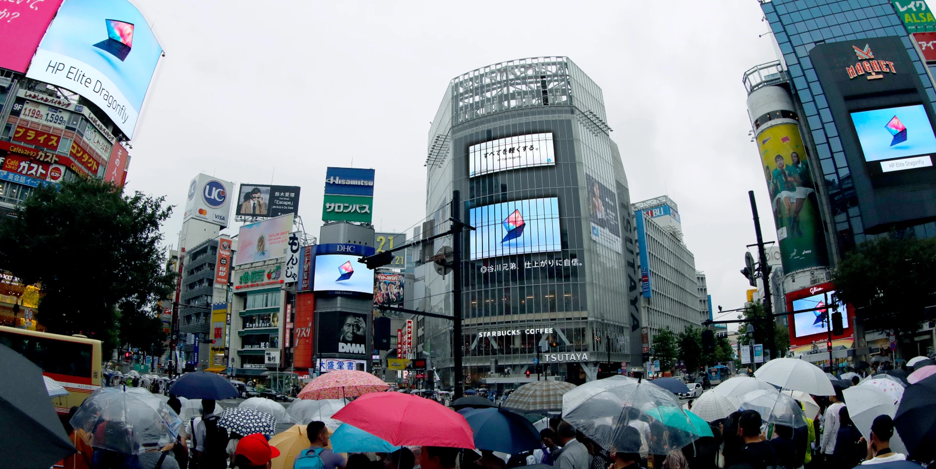 Rascal at Shibuya Crossing Tokyo