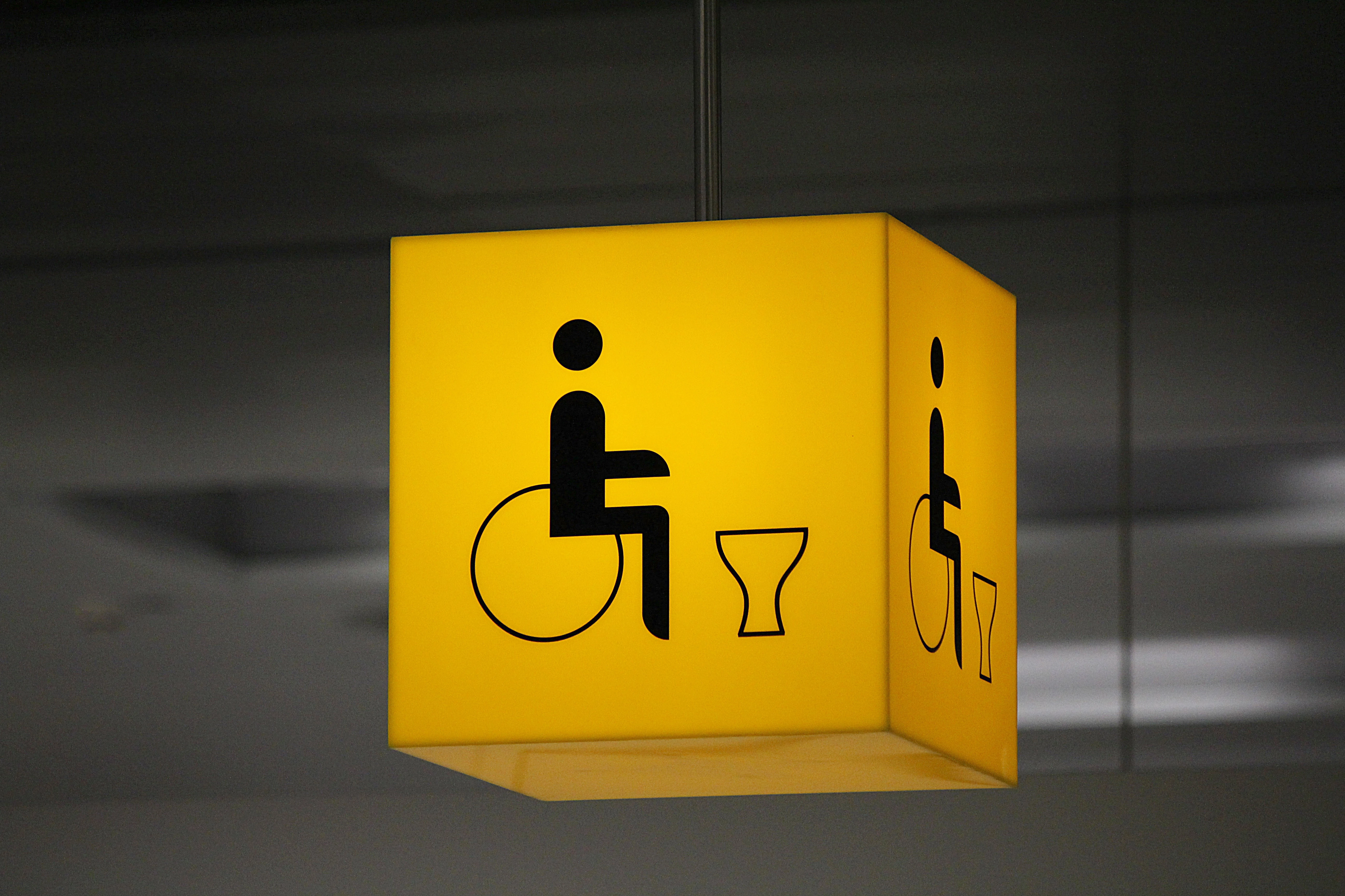 disabled-toilet-548404