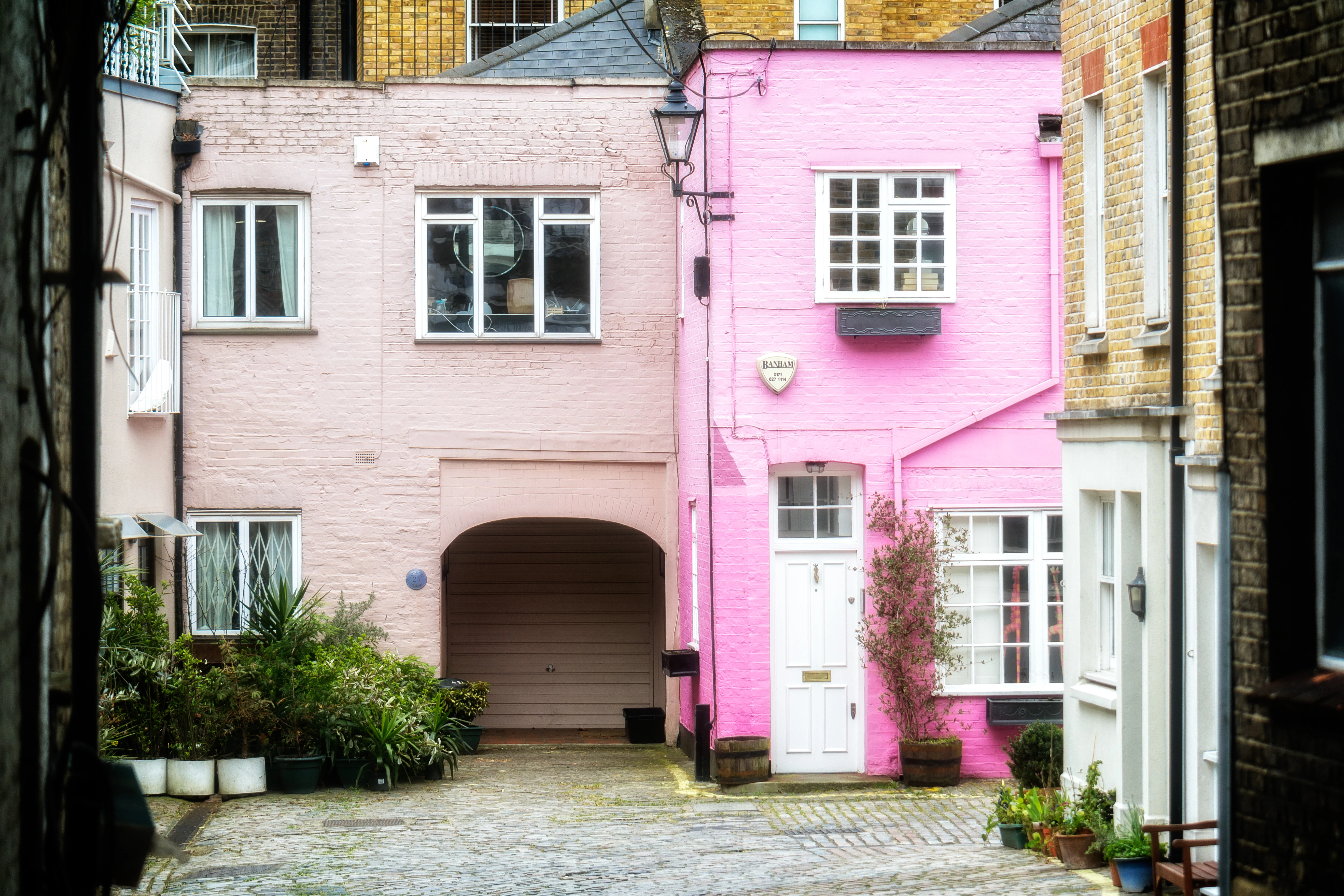 Pink Mews House