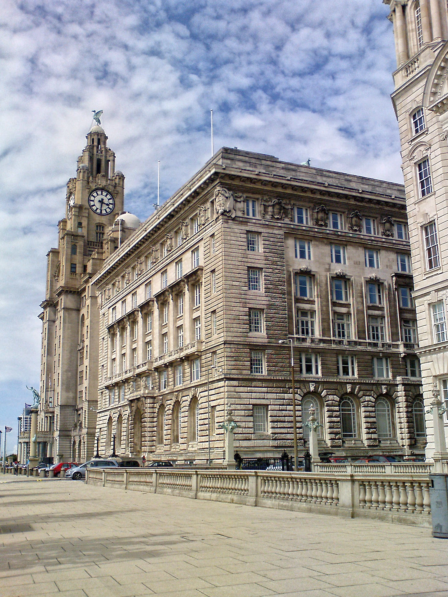 Liver Building