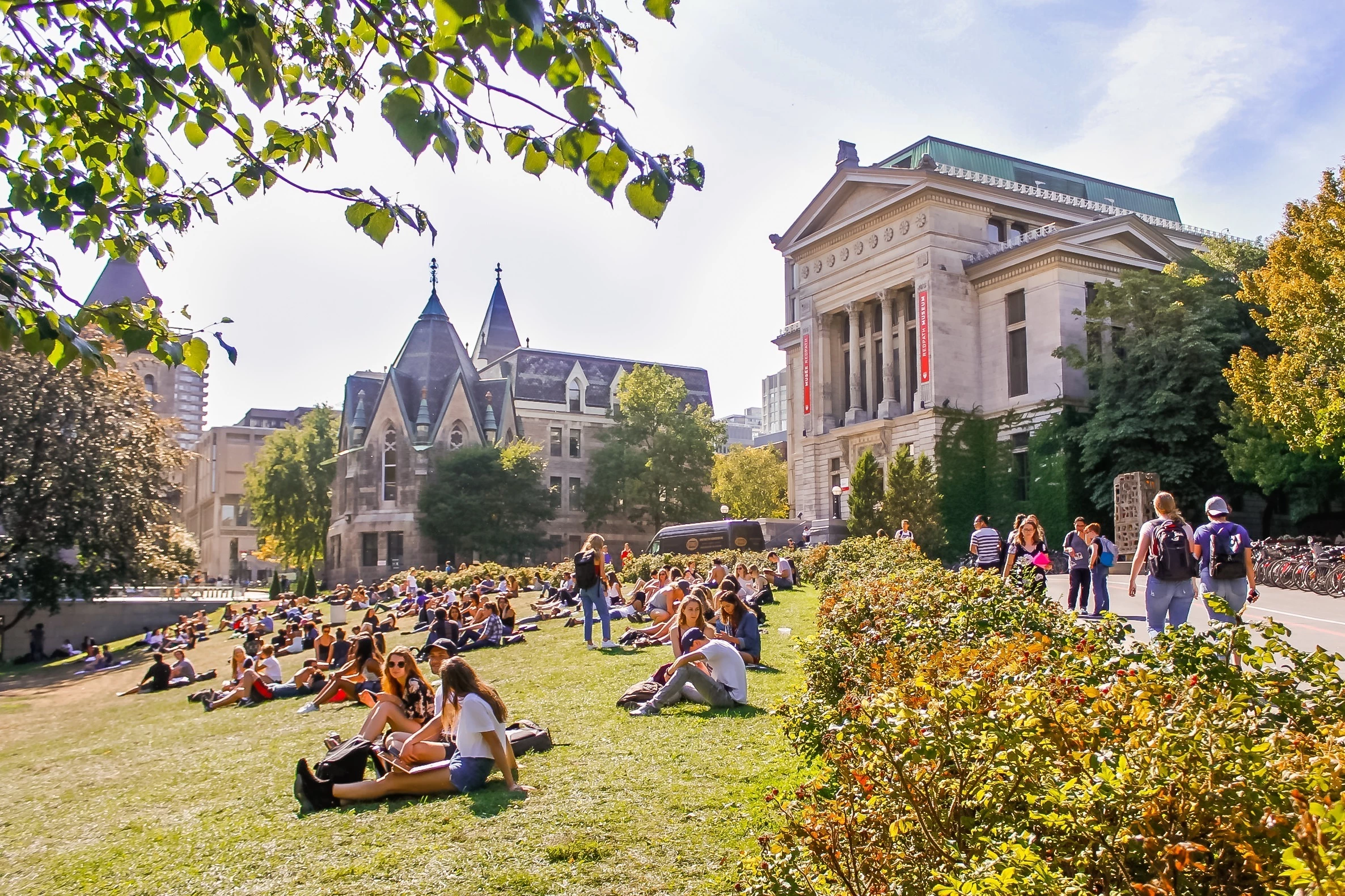 Mcgill University